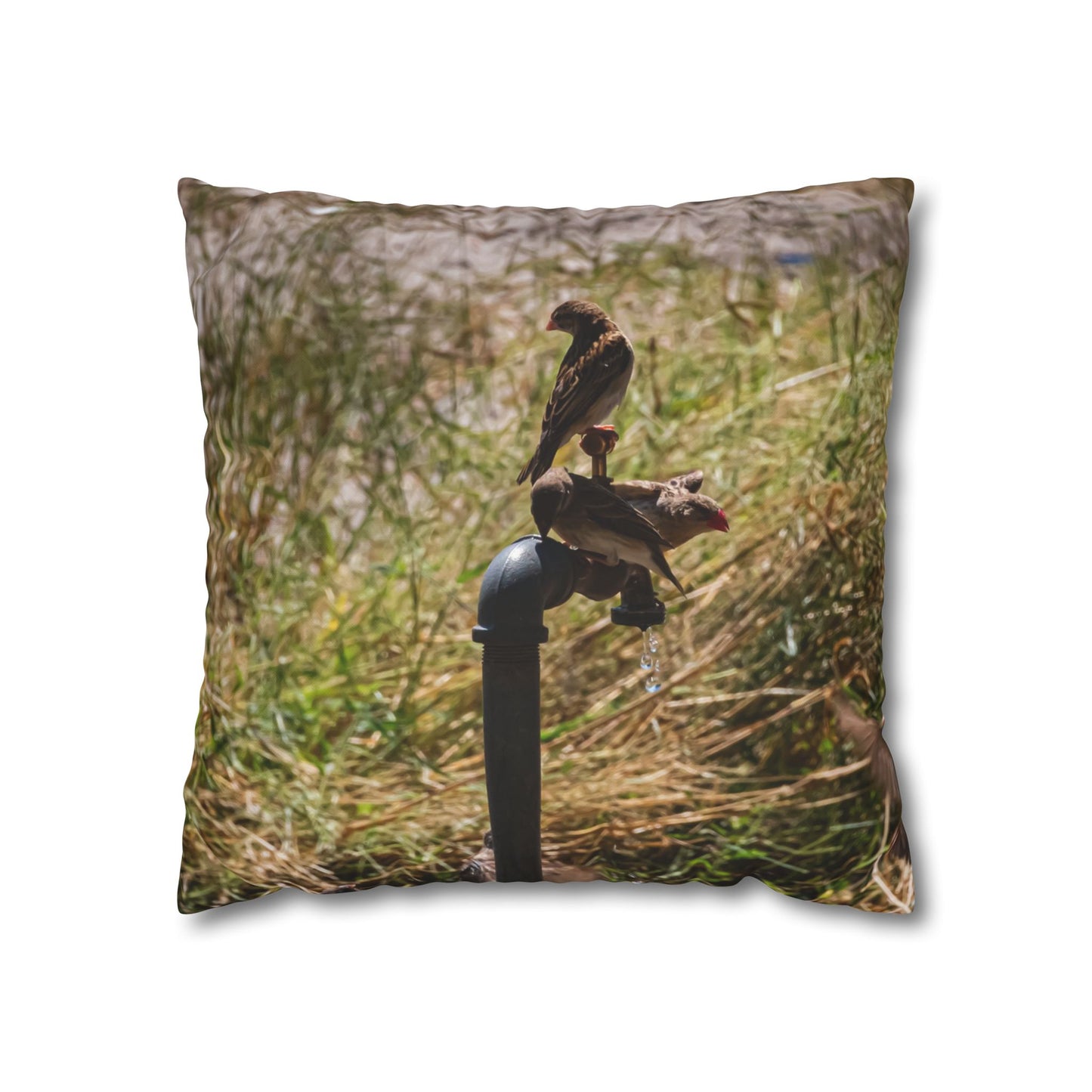 Poly Canvas Pillowcase - Birds at a Tap 18" × 18"