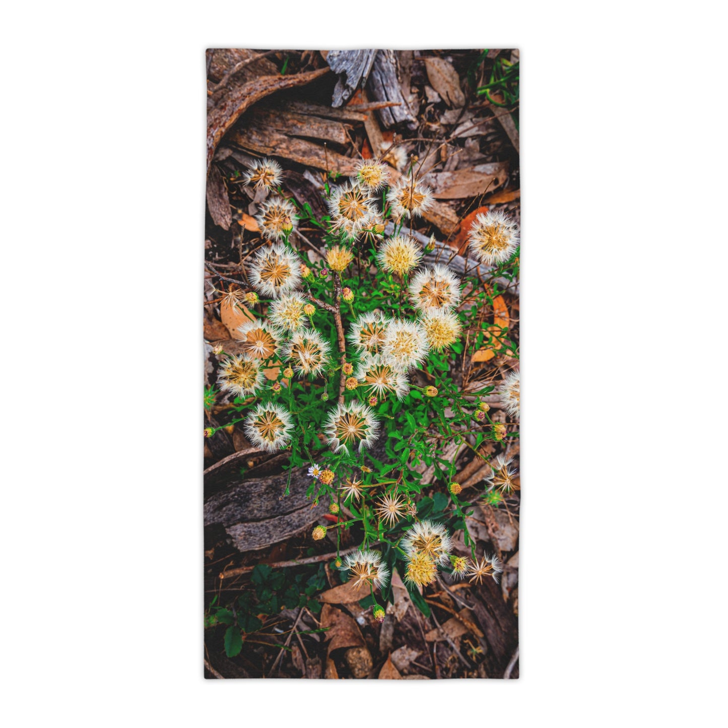 Australian Wildflower Beach Towels