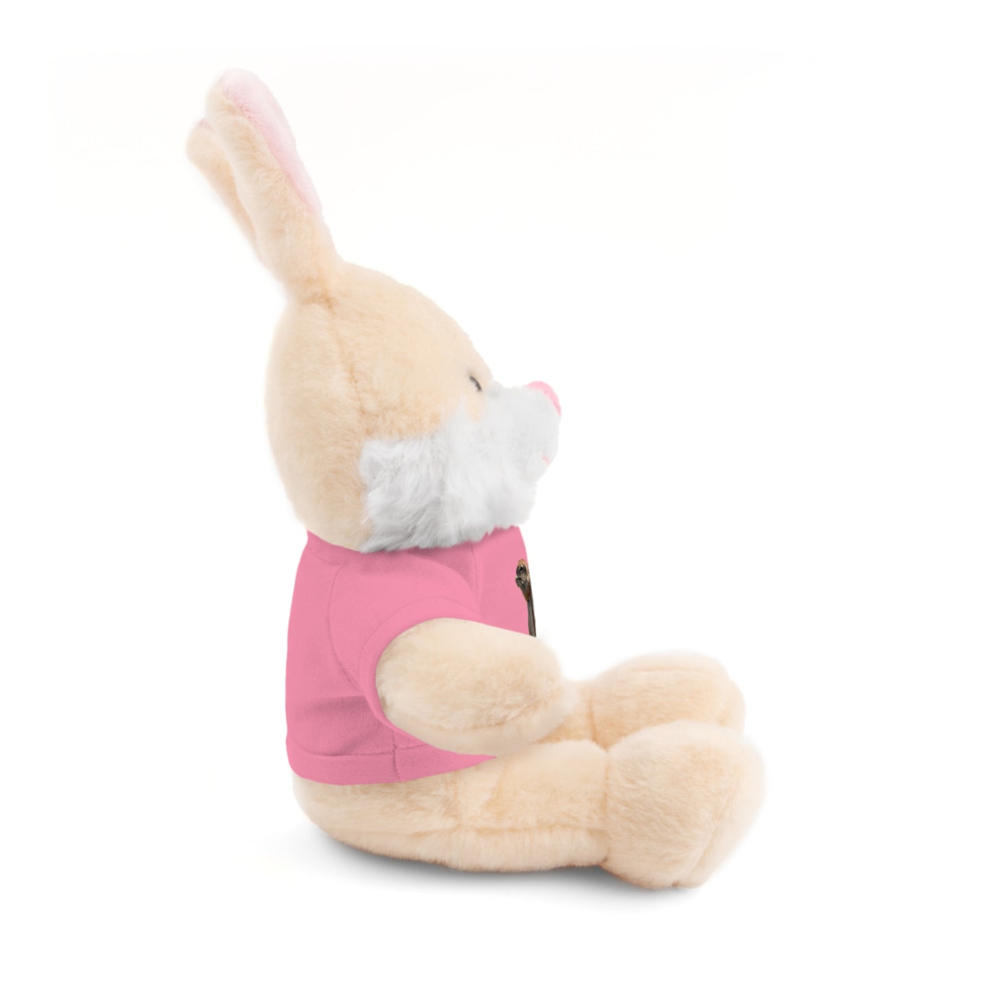 Teddy Bear with Tee