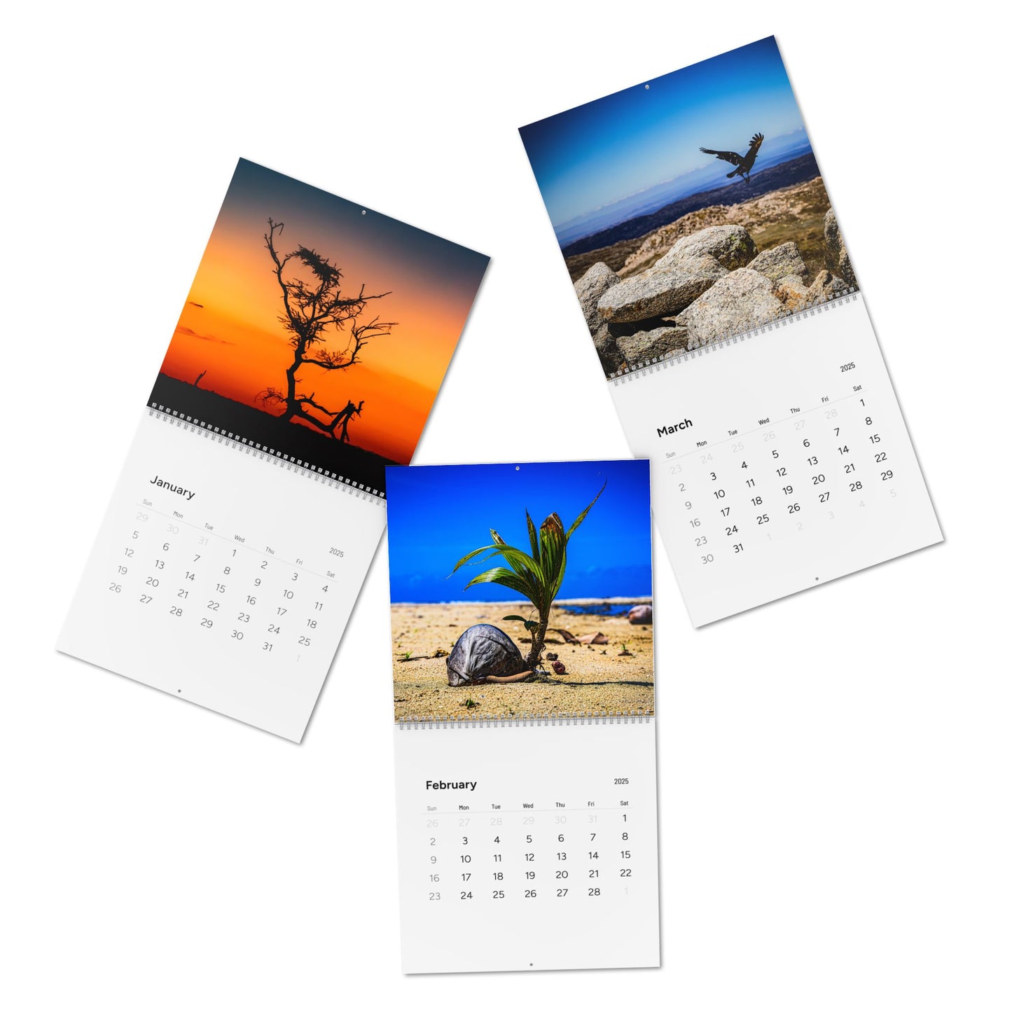 2025 Nature Wildlife Wall Calendar
