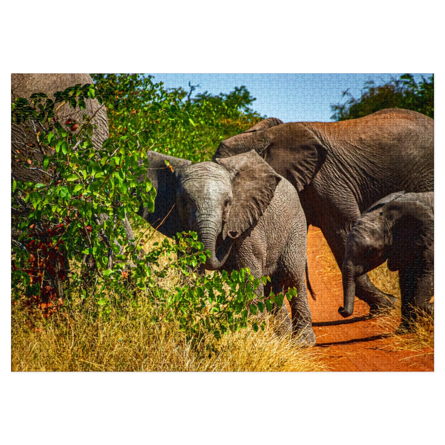 Young Elephant Jigsaw Puzzle with Tin