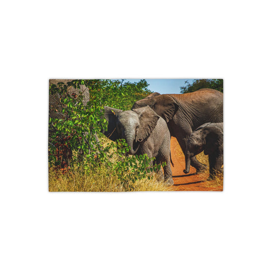 African Elephant Beach Towels 18" x 27"