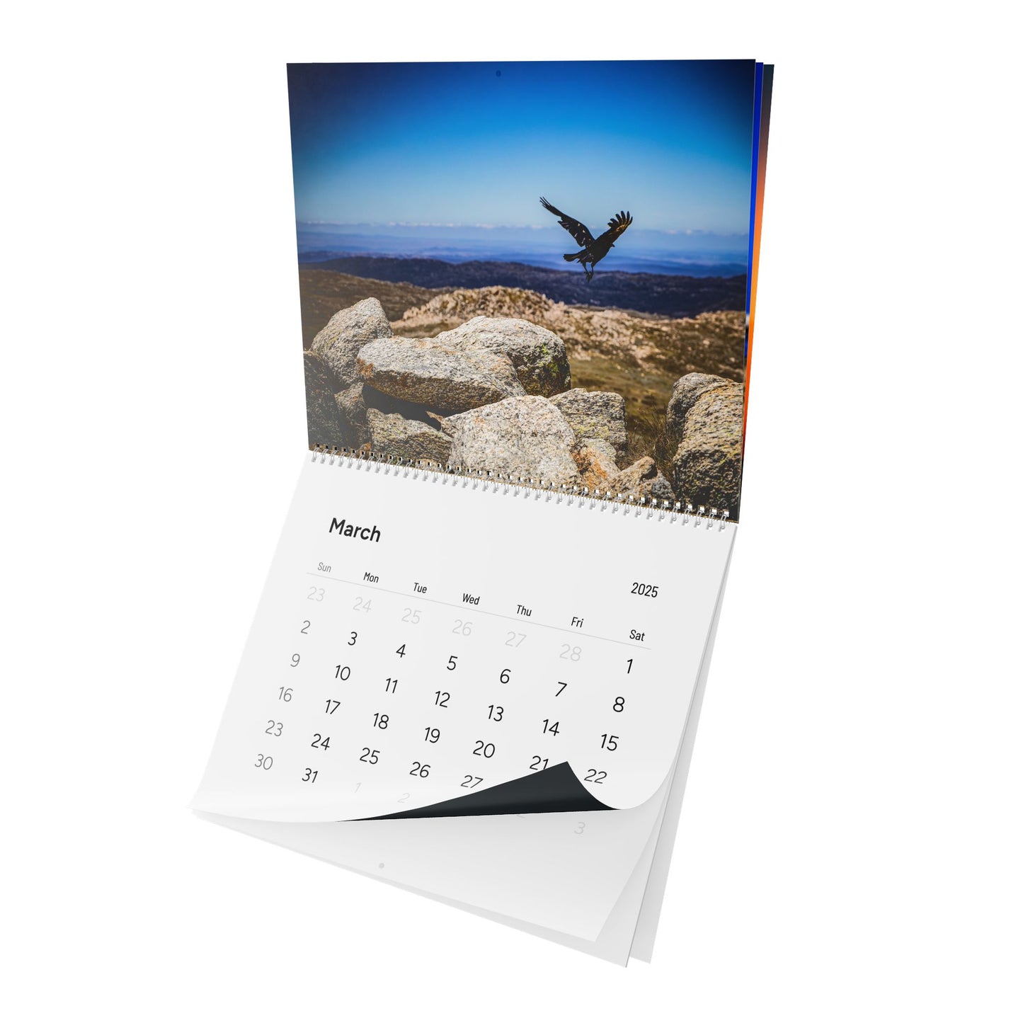 2025 Nature Wildlife Wall Calendar 13.7" x 11" Matte