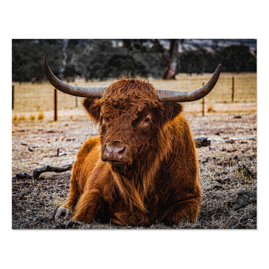 Scottish Highland Cattle Puzzle with Tin 14" × 11" (252 pcs)