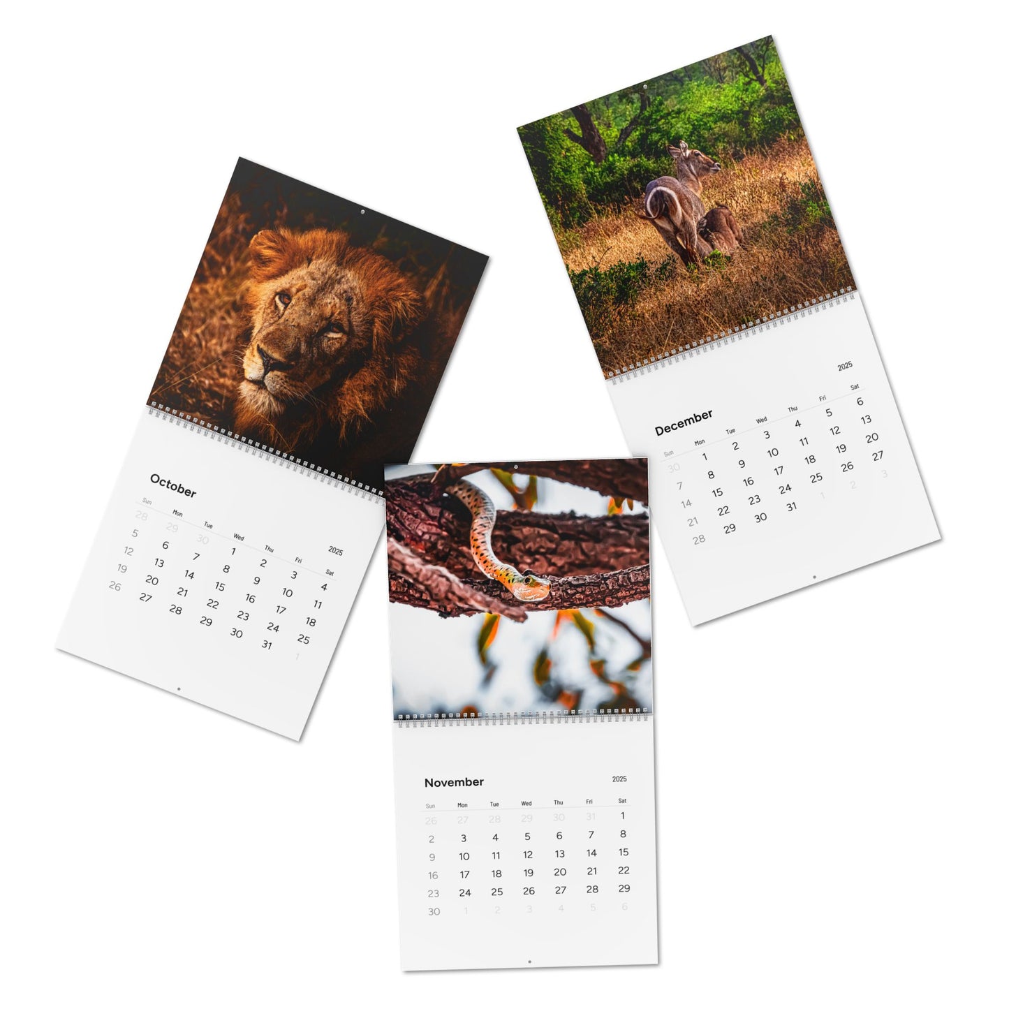 2025 Nature Wildlife Wall Calendar