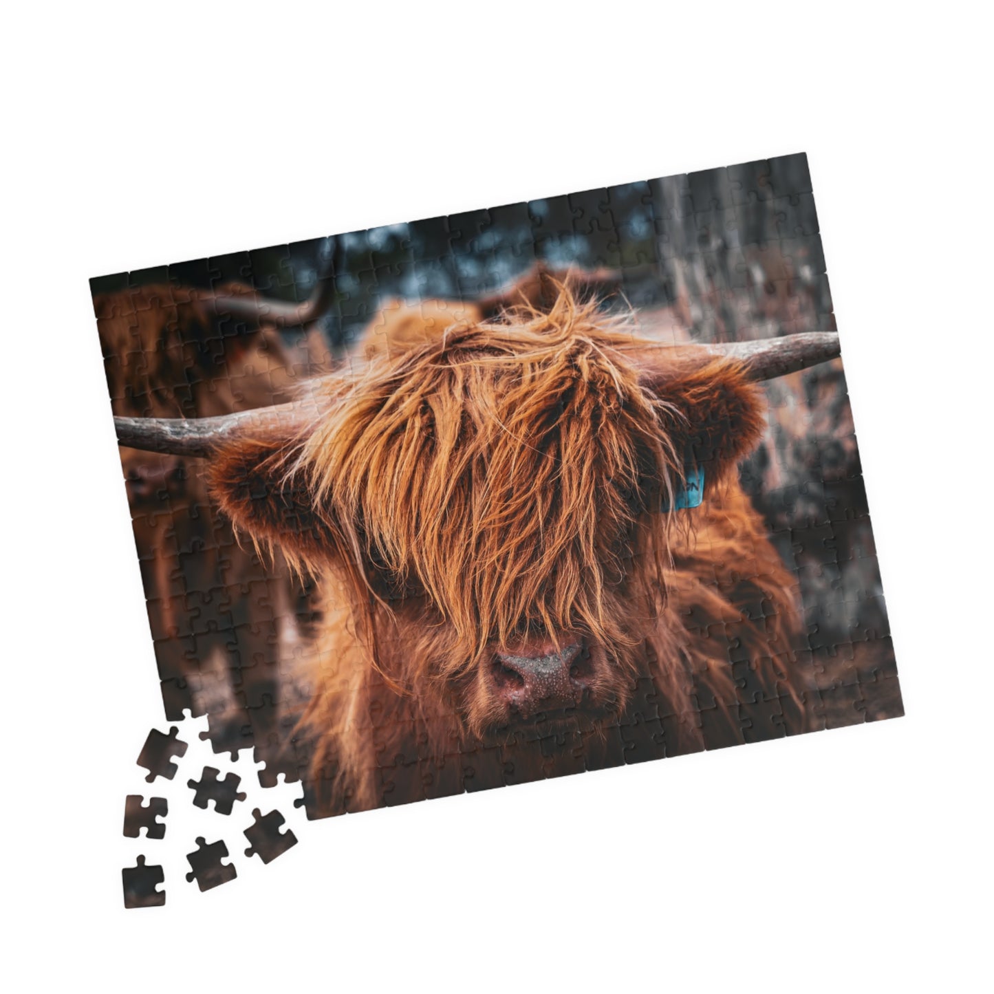 Scottish Highland Cattle Puzzle