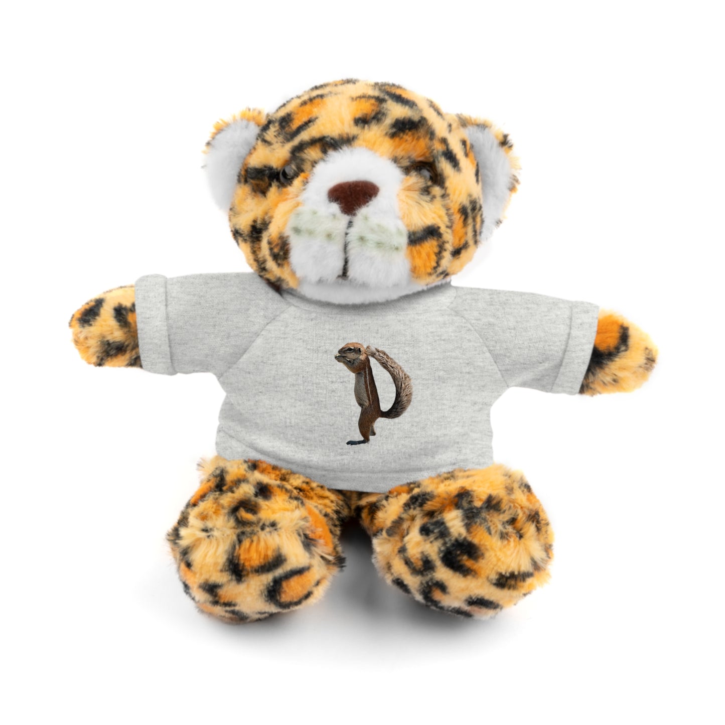 Teddy Bear with Tee
