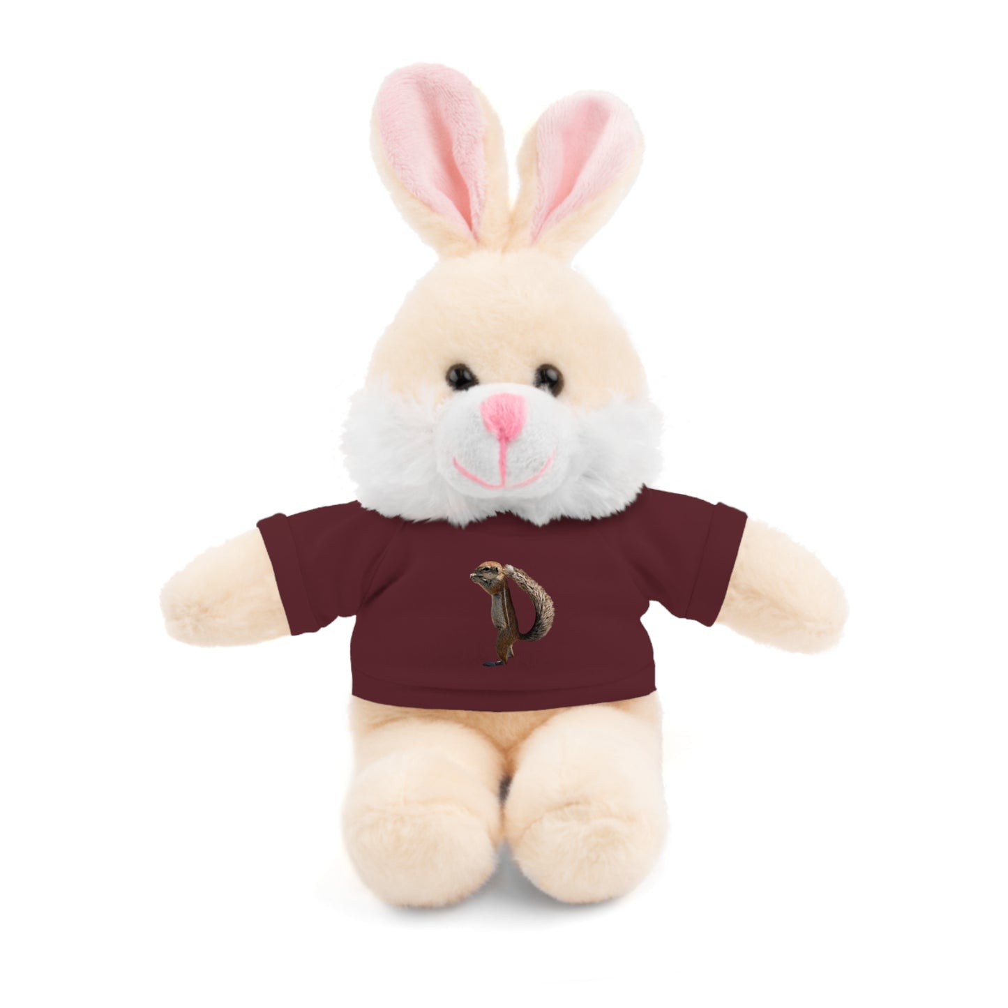 Teddy Bear with Tee