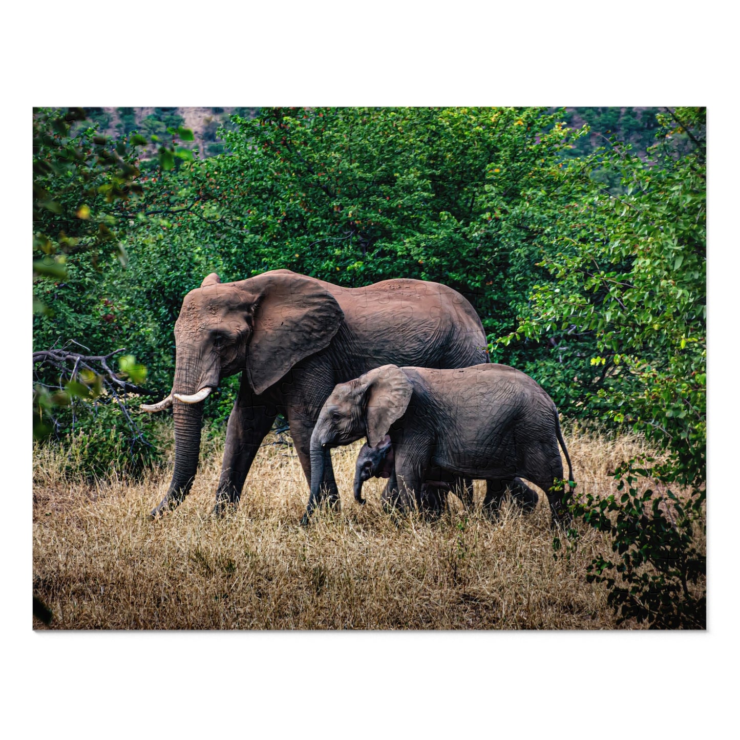 Jigsaw Puzzle (30, 110, 252, 500, 1000, 2000 Piece) - Elephant Family 14" × 11" (252 pcs)