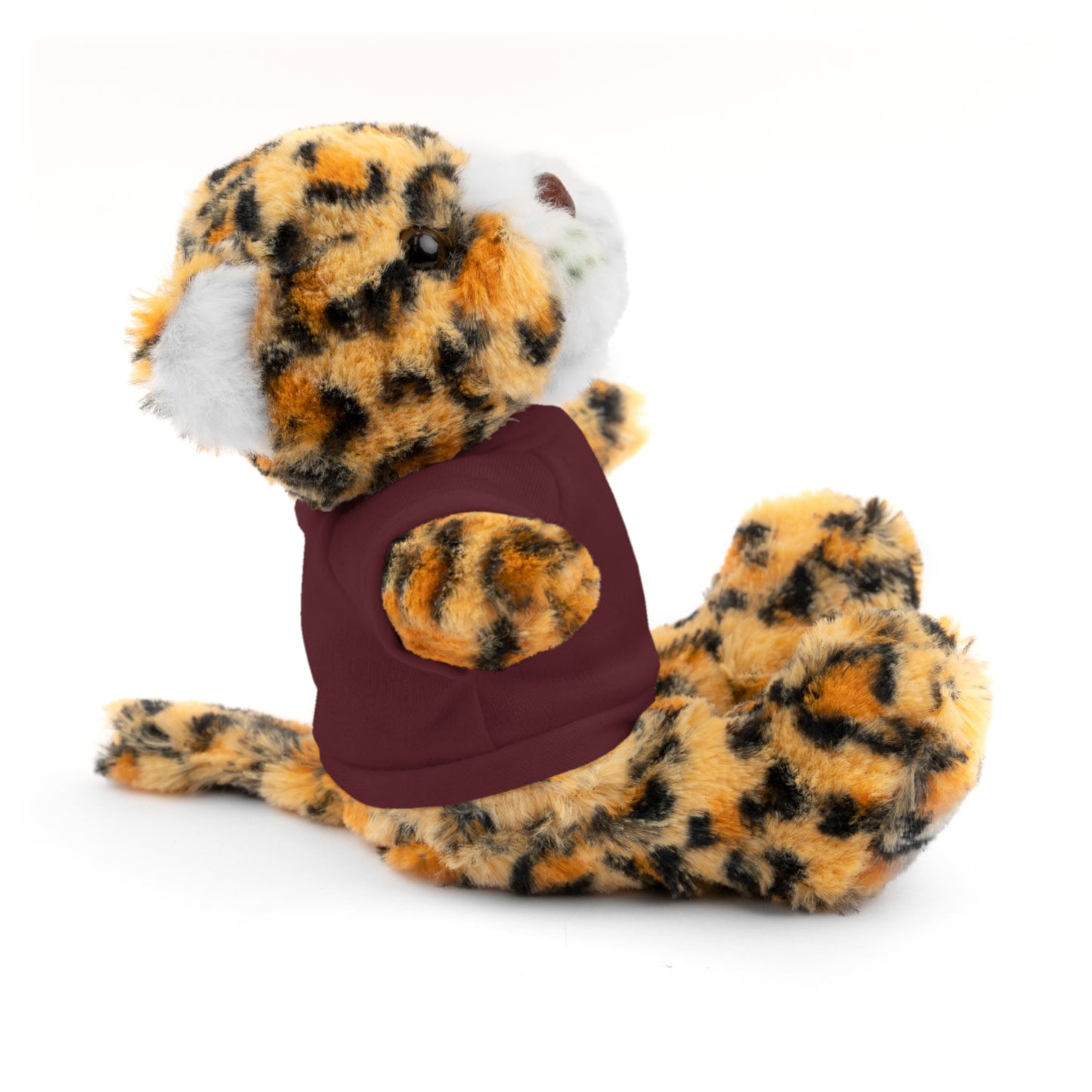 Teddy Bear with Tee