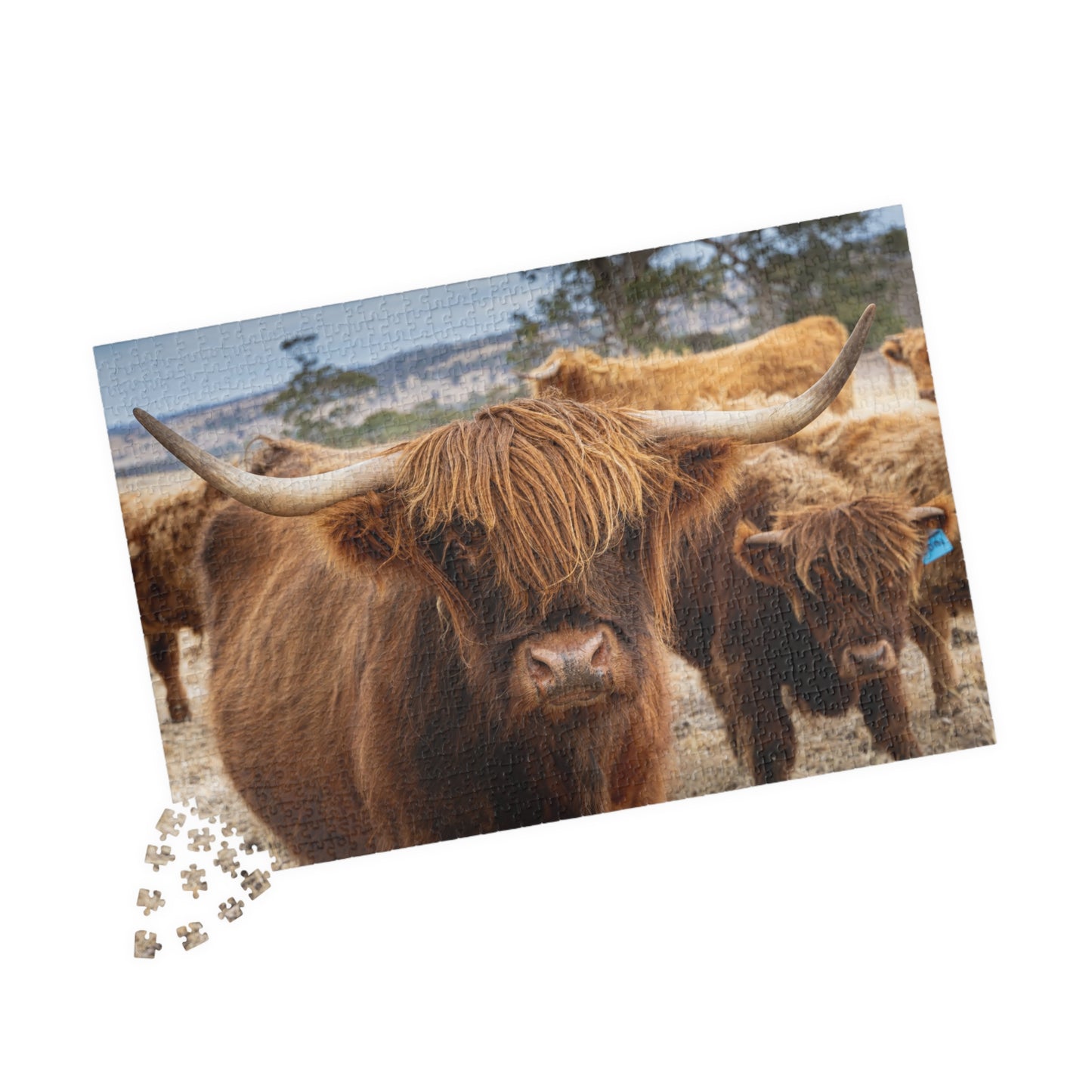 Scottish Highland Cattle Puzzle 1014 pcs (Horizontal)