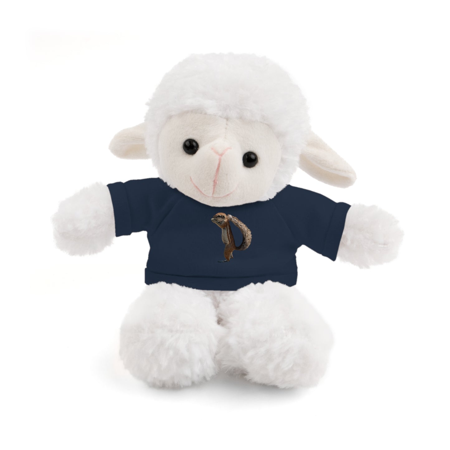 Teddy Bear with Tee