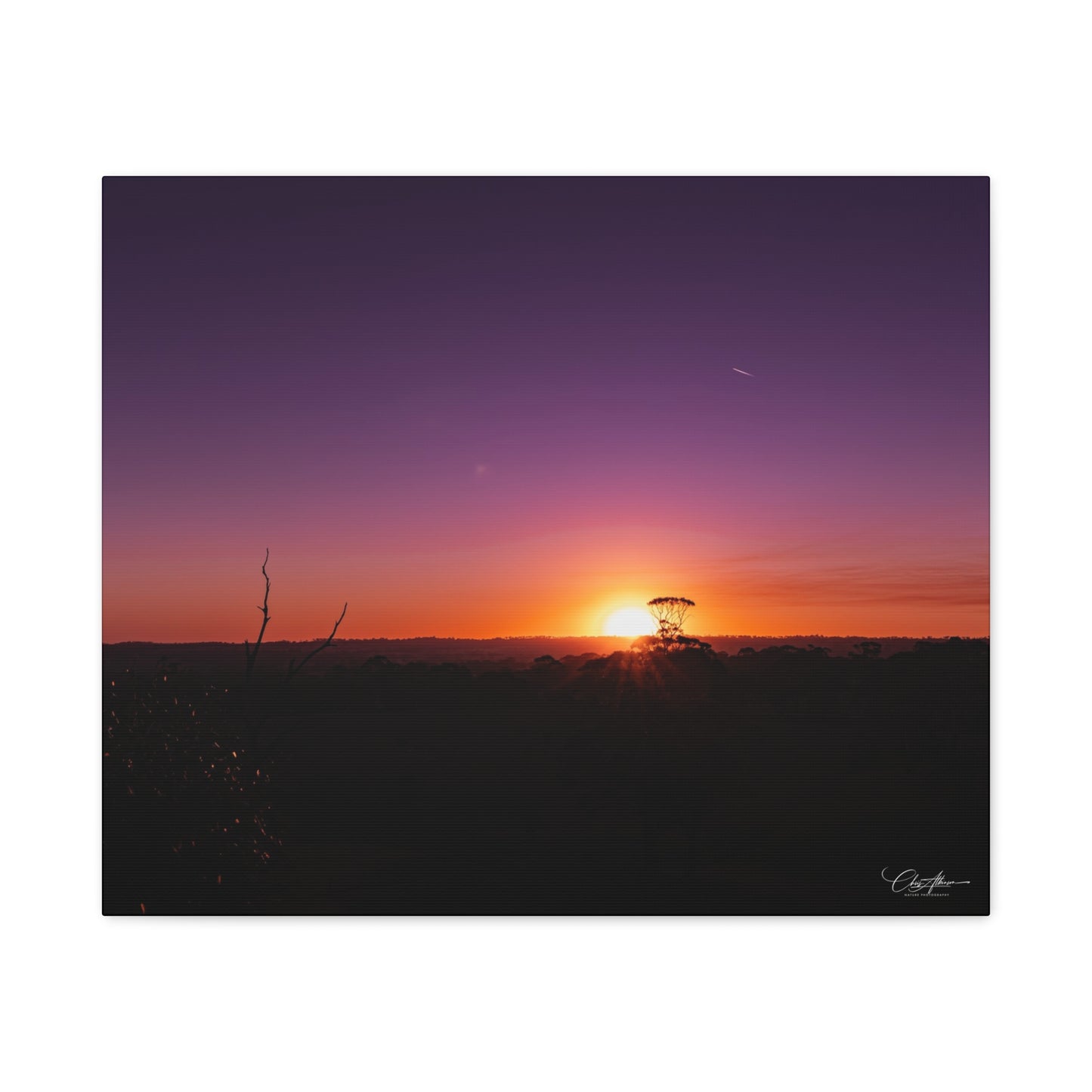 Matte Canvas, Stretched, 1.25" - Purple Sunset 24" x 20" (Horizontal) 1.25"