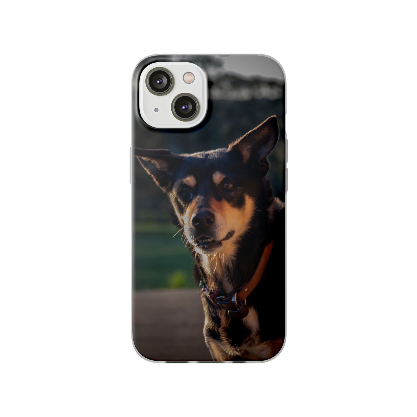 Flexi Cases - Saba the Kelpie iPhone 14