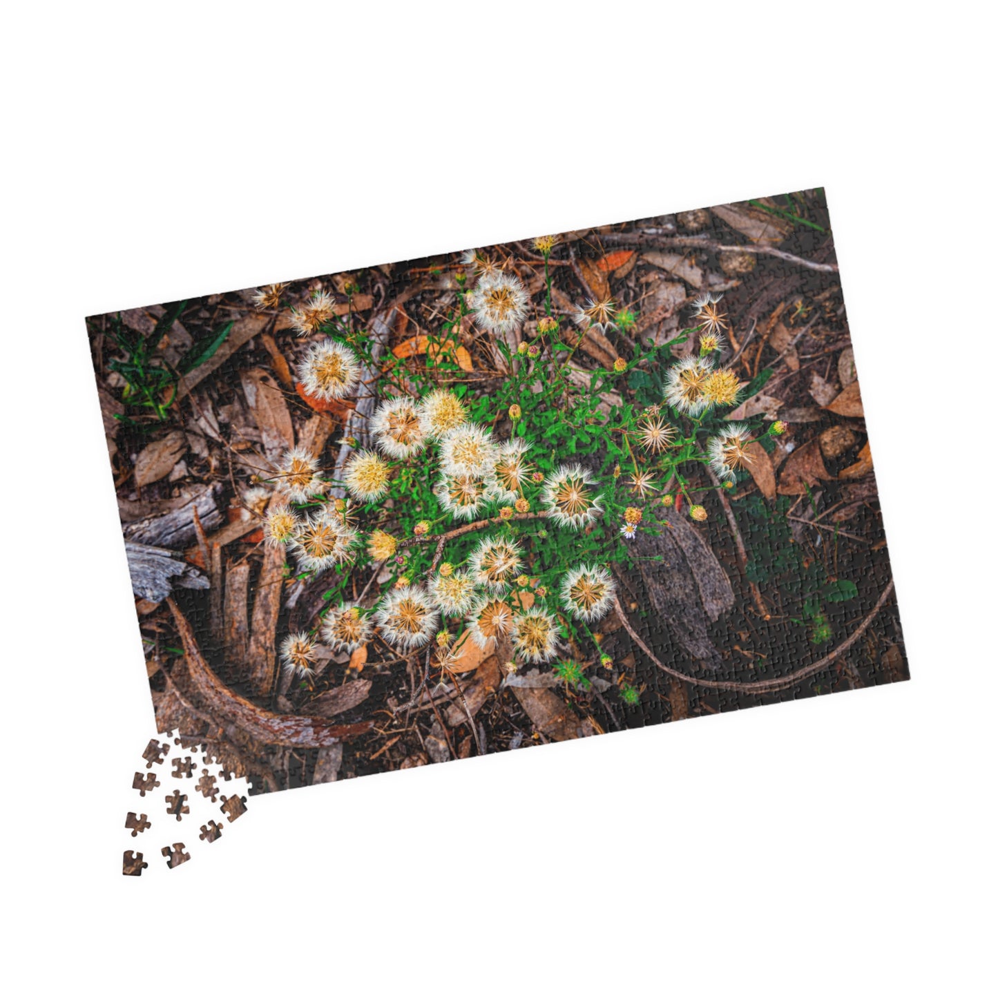 Australian Wildflower Jigsaw Puzzle