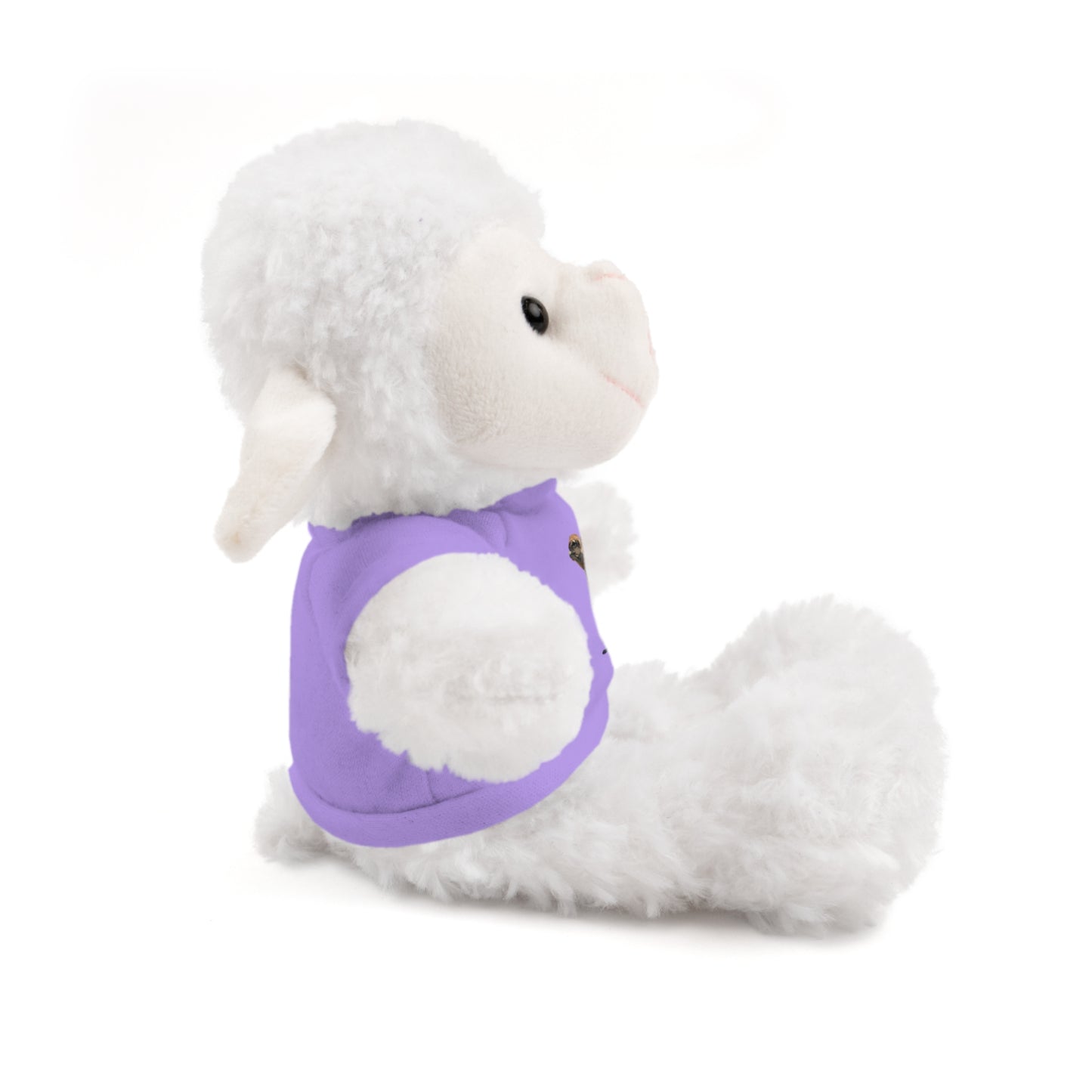 Teddy Bear with Tee