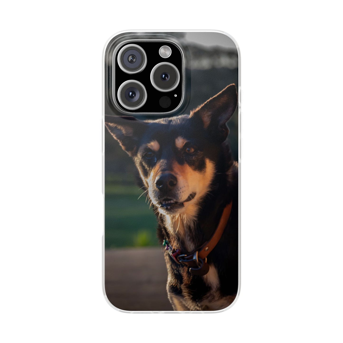 Flexi Cases - Saba the Kelpie iPhone 16 Pro