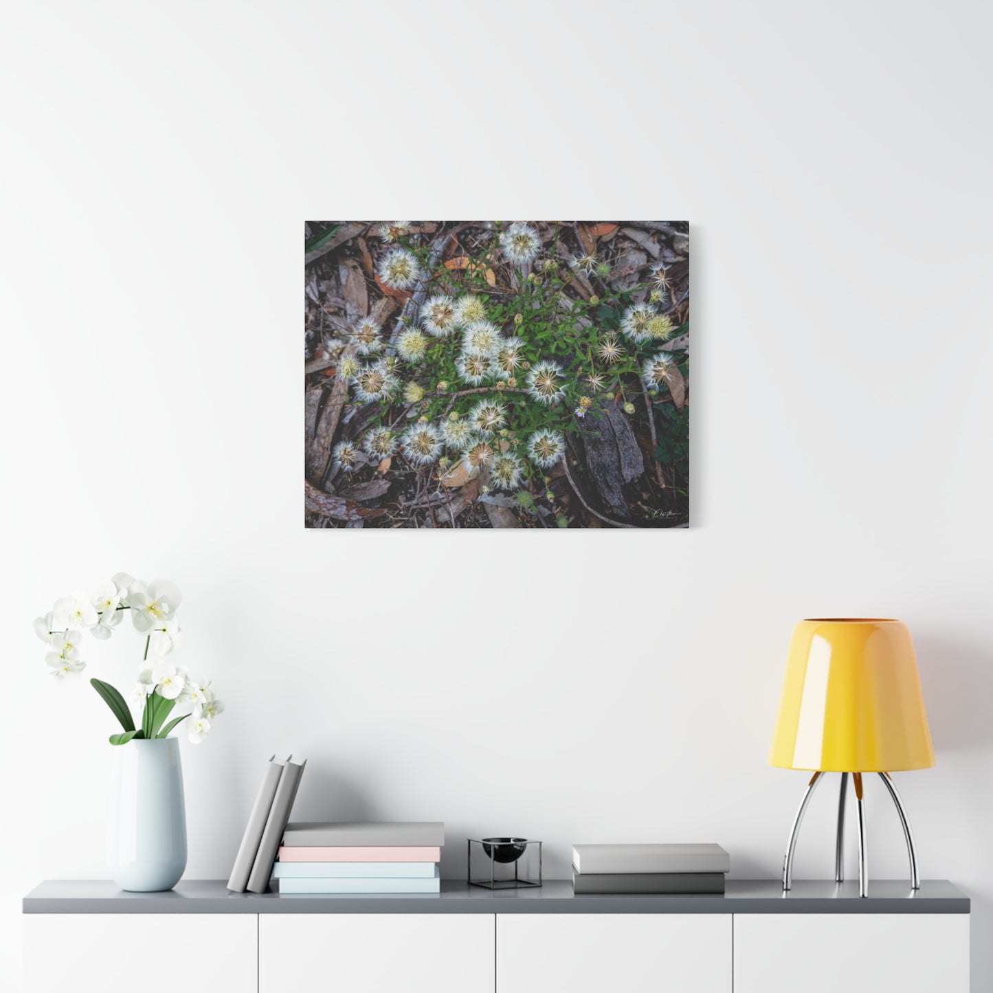 Matte Canvas, Stretched, 1.25" - Australian Wildflowers