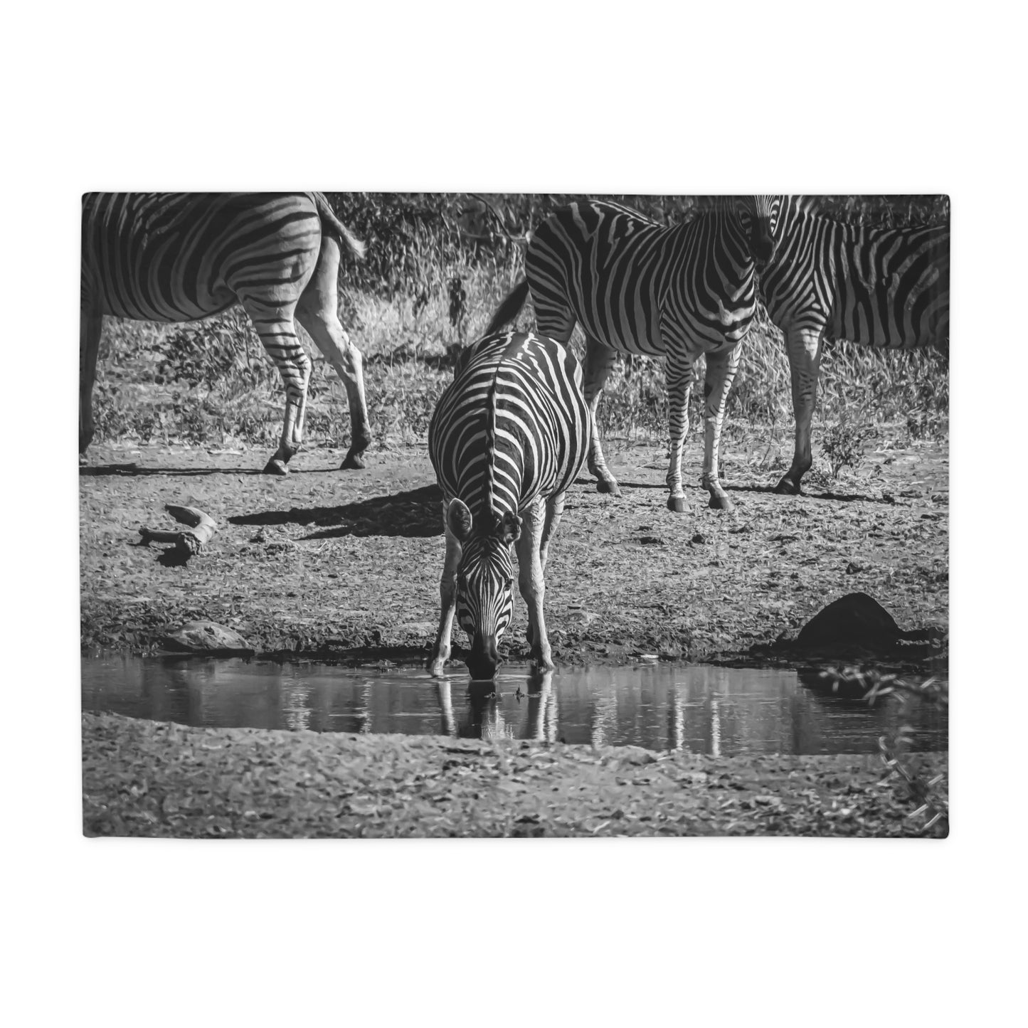 Zebra Fleece Blanket B&W 30" × 40"
