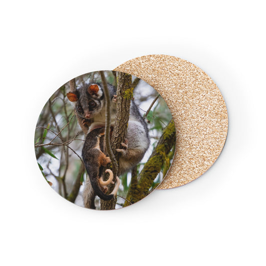 Ring-Tailed Possum Coasters Round 3.7" x 3.7" 1pc