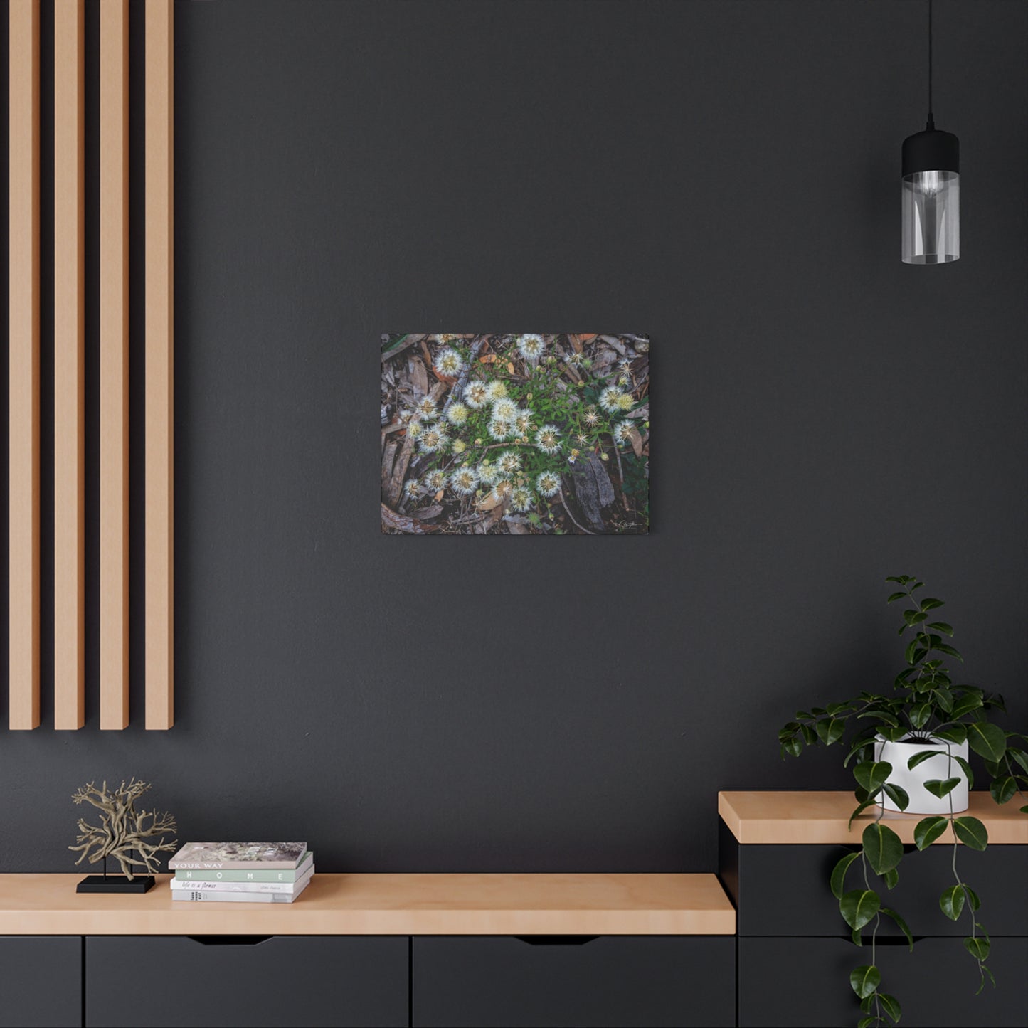 Matte Canvas, Stretched, 1.25" - Australian Wildflowers