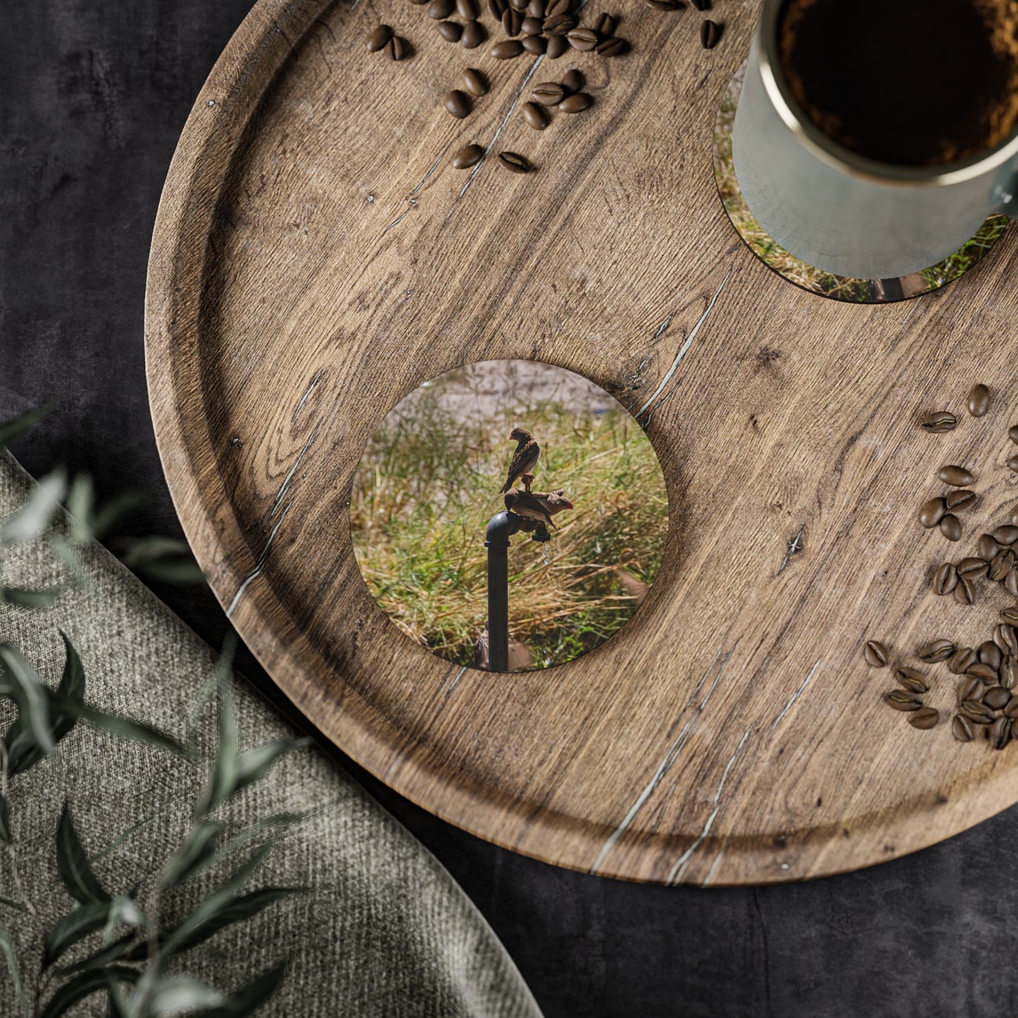 African Birds Coasters