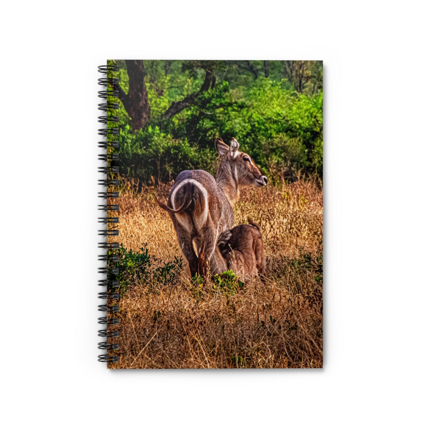 Waterbuck Baby Animal Notebook One Size