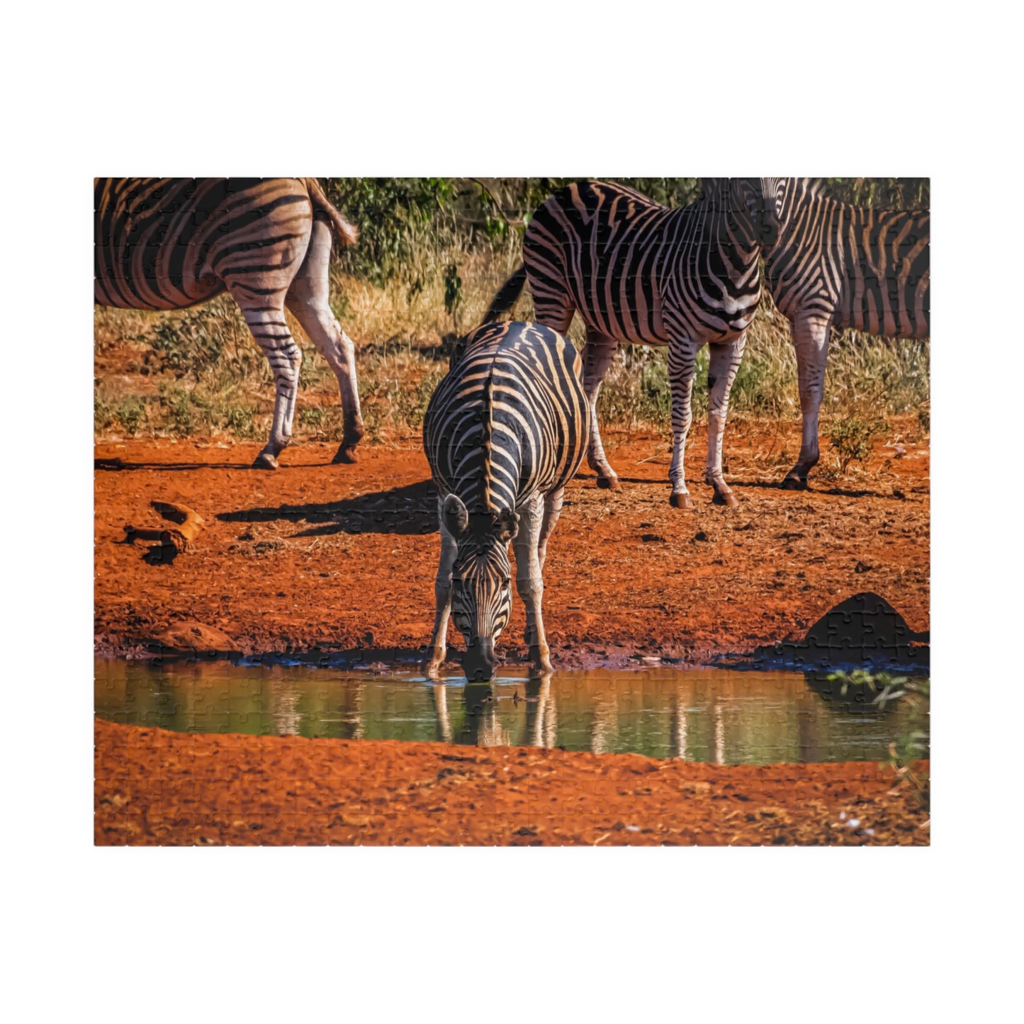 African Zebra Jigsaw Puzzle