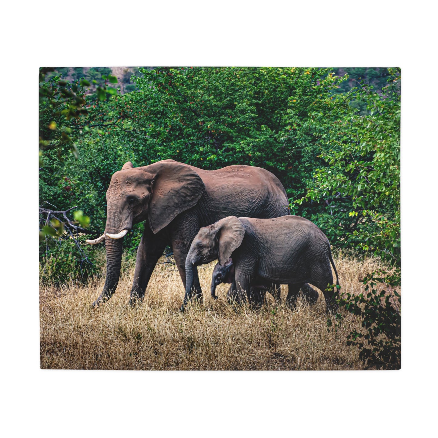 Family of Elephants Fleece Blanket