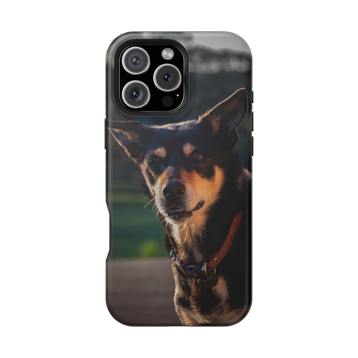 Magsafe® Compatible Tough Cases - Saba The Kelpie iPhone 16 Pro Max Matte