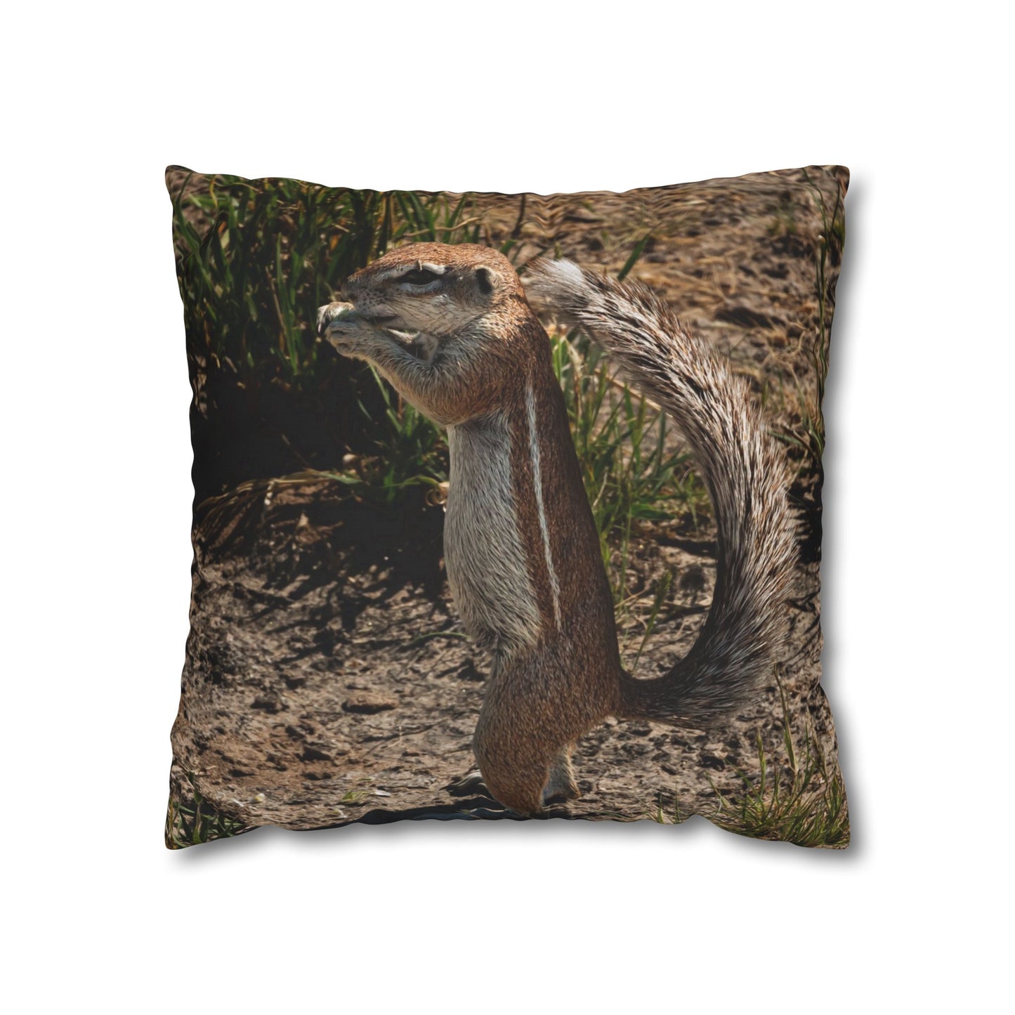 Poly Canvas Pillowcase - Ground Squirrel 18" × 18"