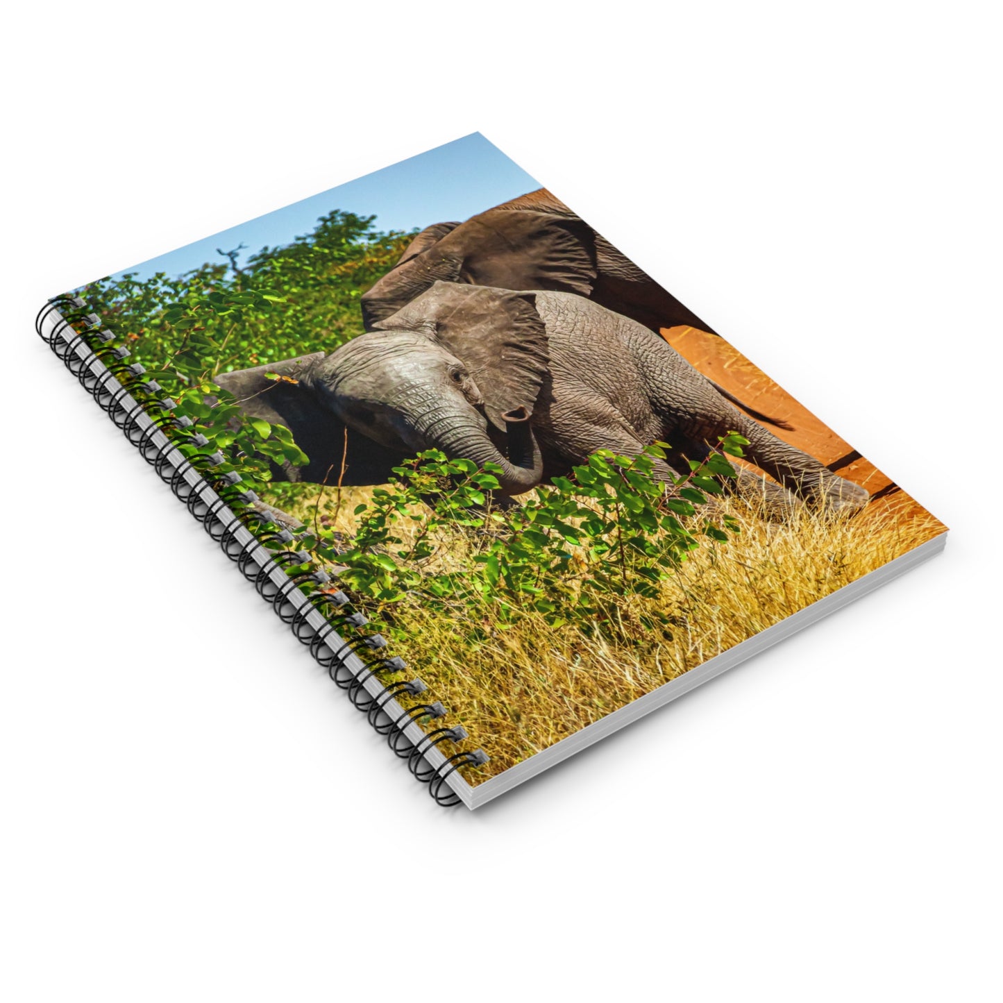 Spiral Notebook - Ruled Line - Young Elephant