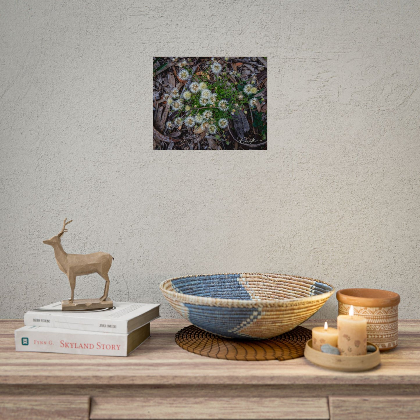 Rolled Posters - Australian Wildflowers 11″ x 9″ (Horizontal) Fine Art