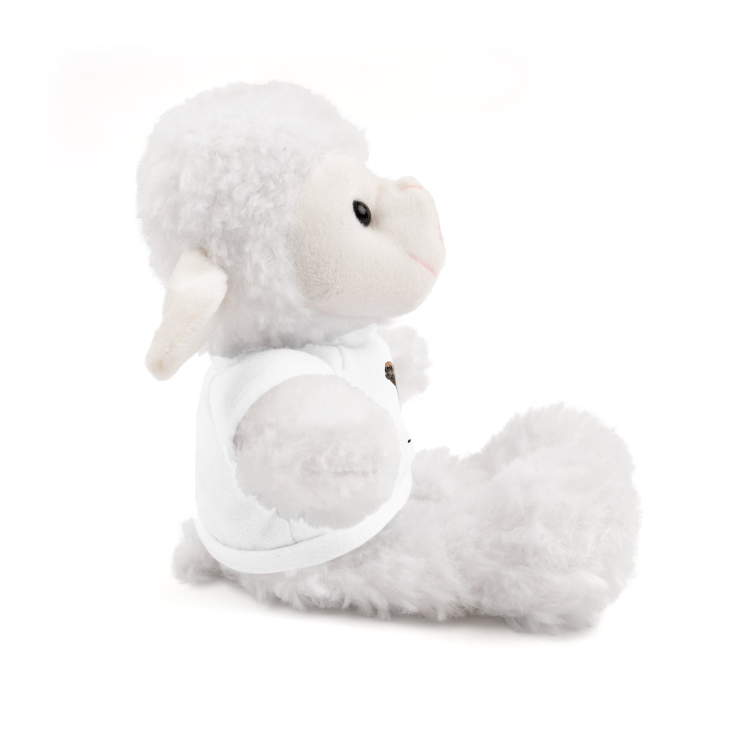 Teddy Bear with Tee