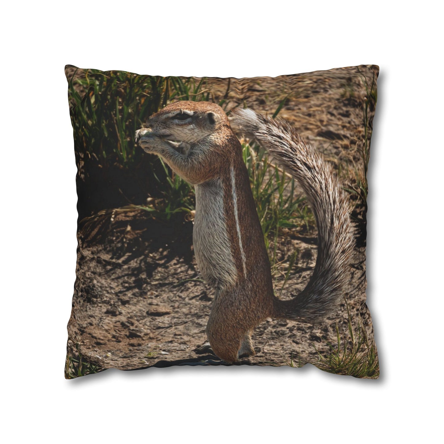 Poly Canvas Pillowcase - Ground Squirrel 20" × 20"