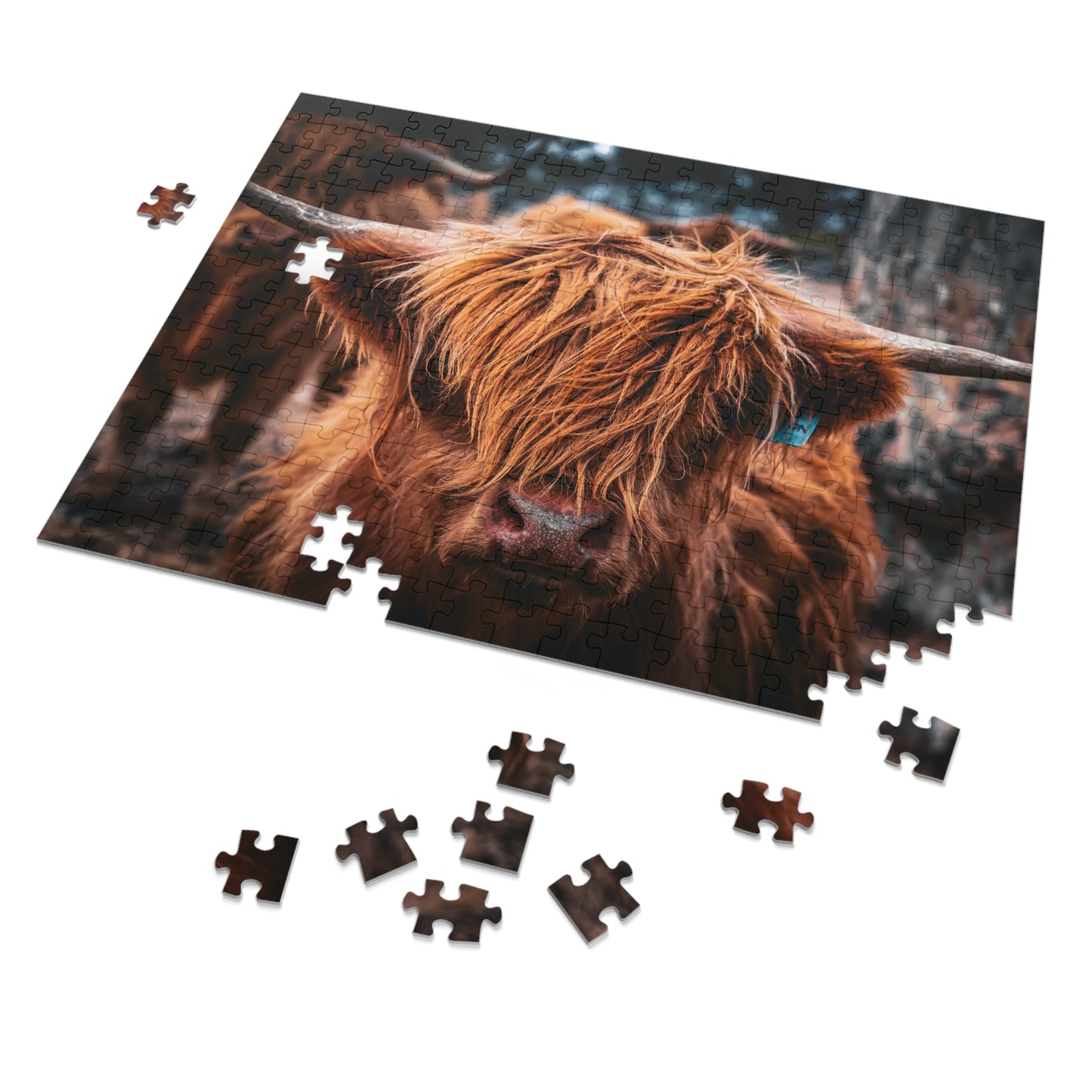 Scottish Highland Cattle Puzzle with Tin