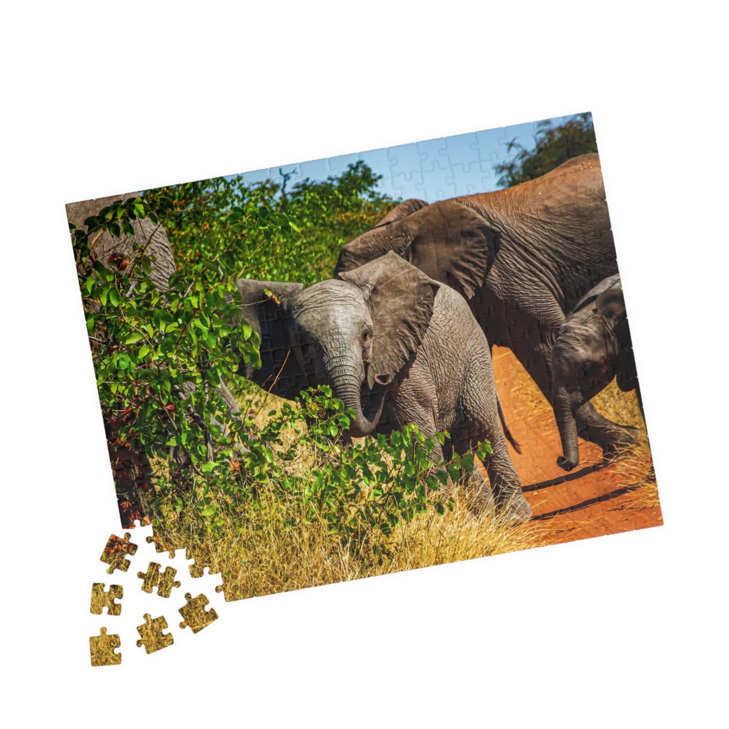 Young Elephant Jigsaw Puzzle