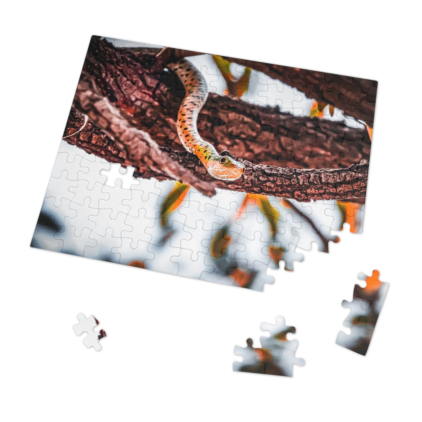 Spotted Bush Snake Puzzle with Tin