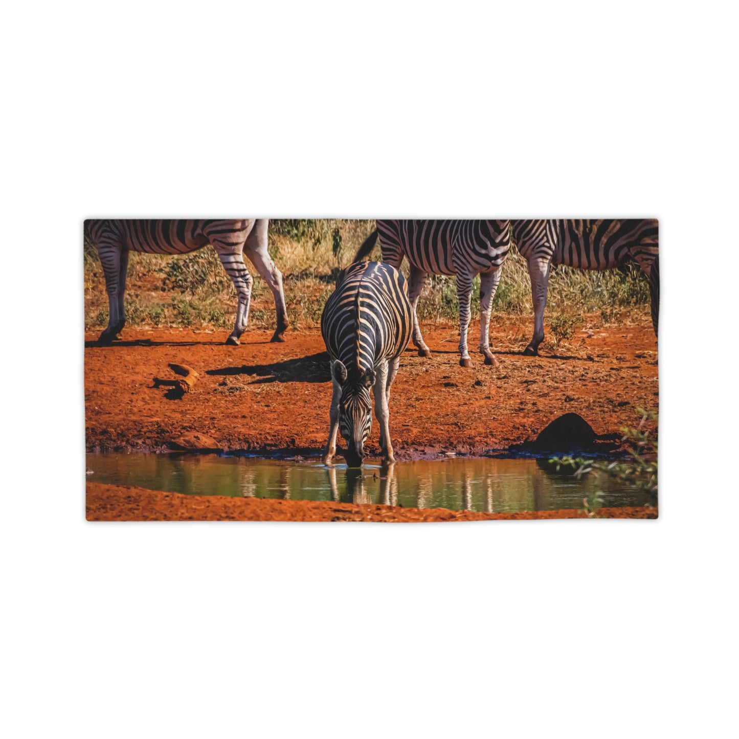 African Zebra Beach Towels 24" x 44"