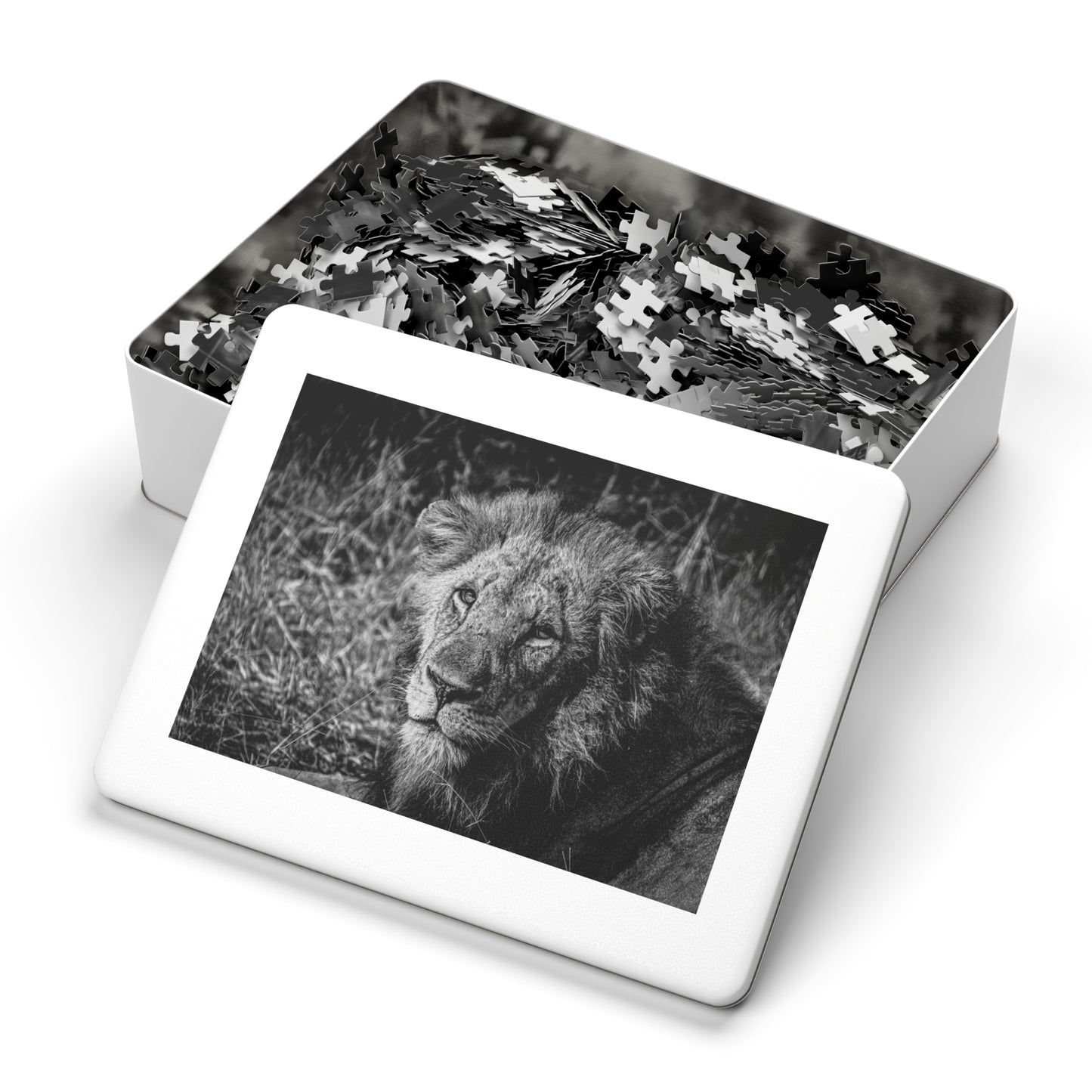 Majestic Old Lion Jigsaw Puzzle with Tin B&W