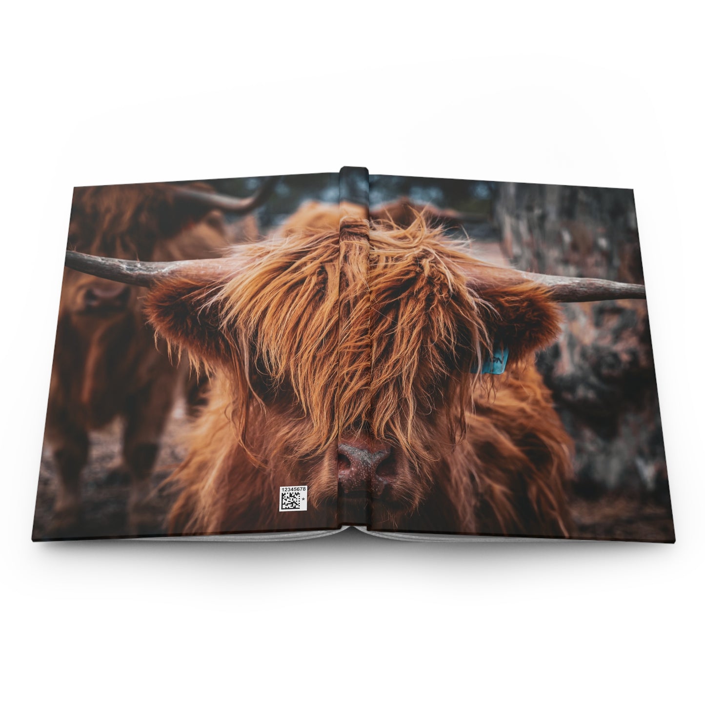 Highland Cattle Journal