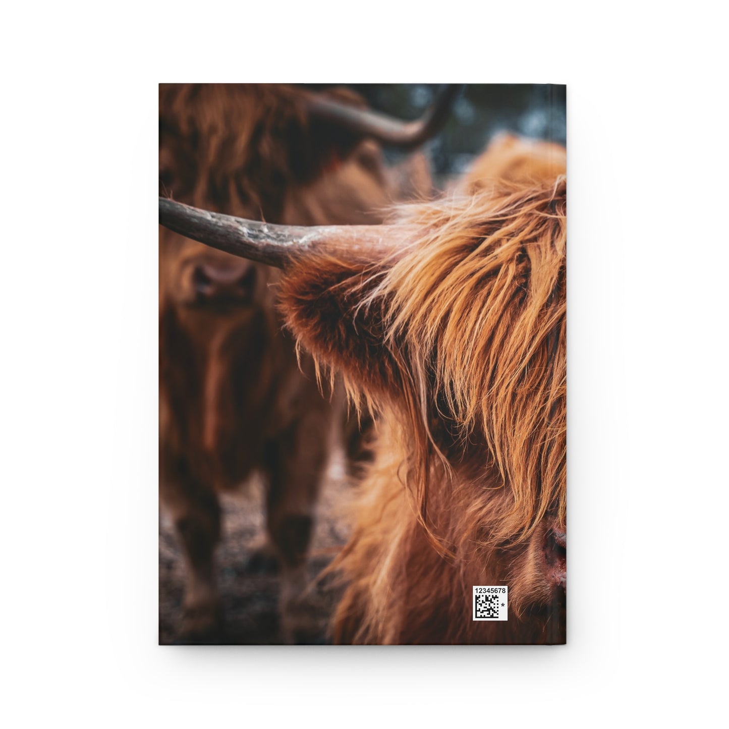 Highland Cattle Journal