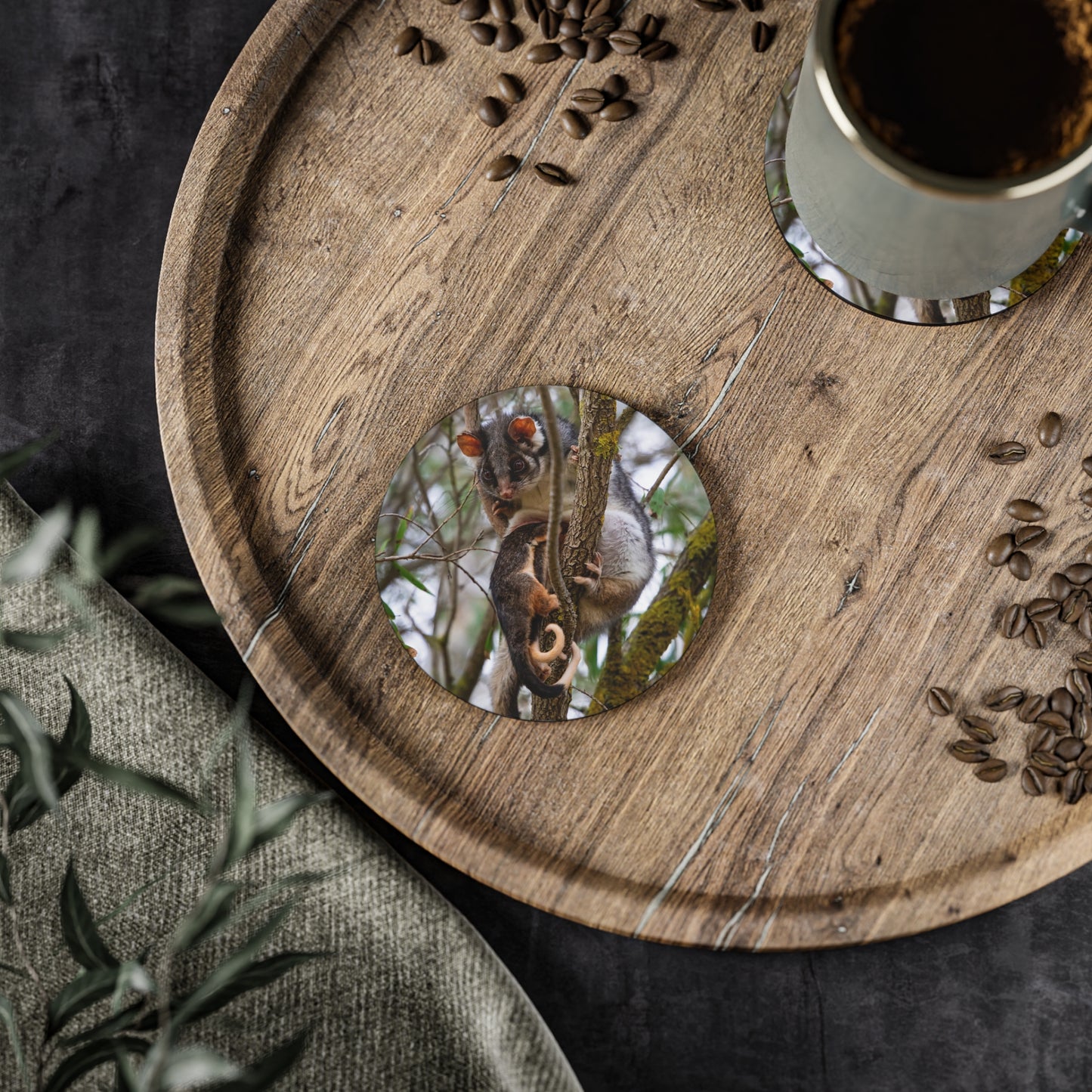 Ring-Tailed Possum Coasters