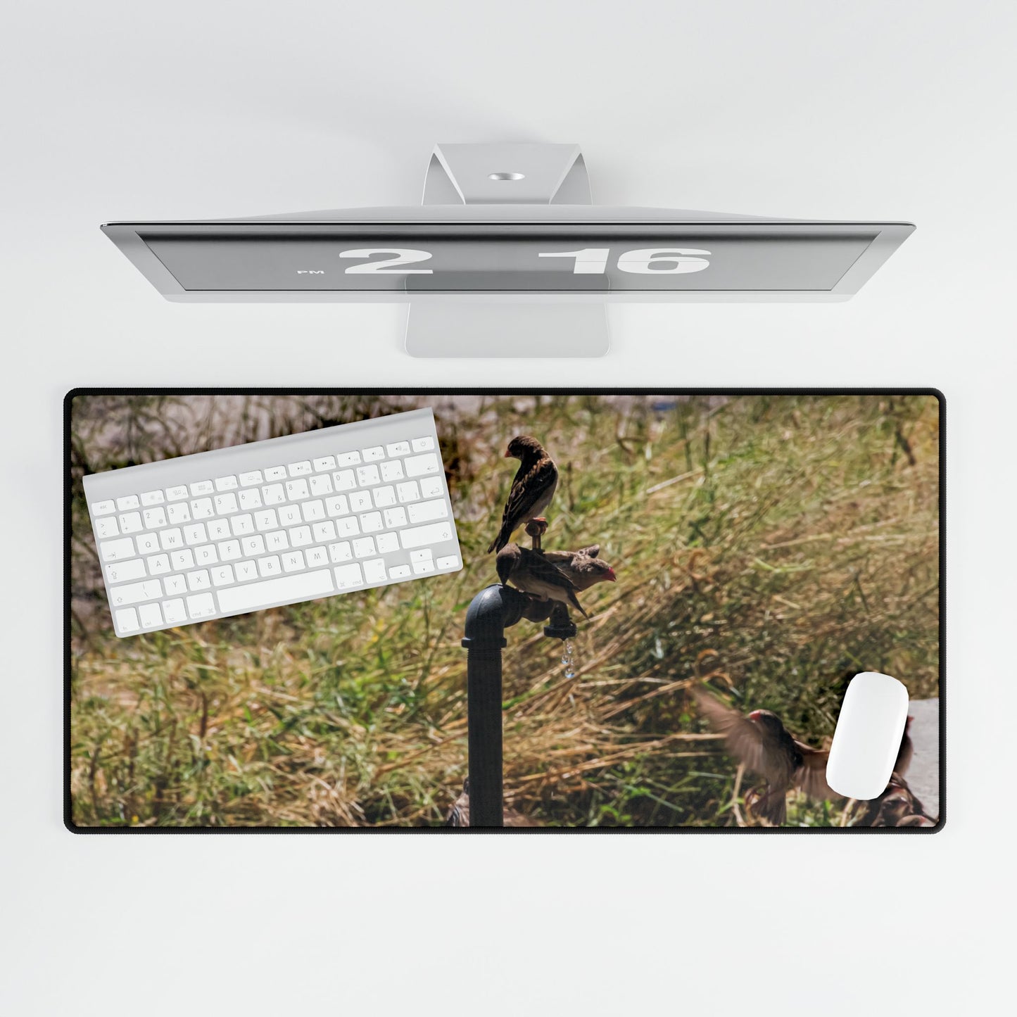 African Birds Desk Mat