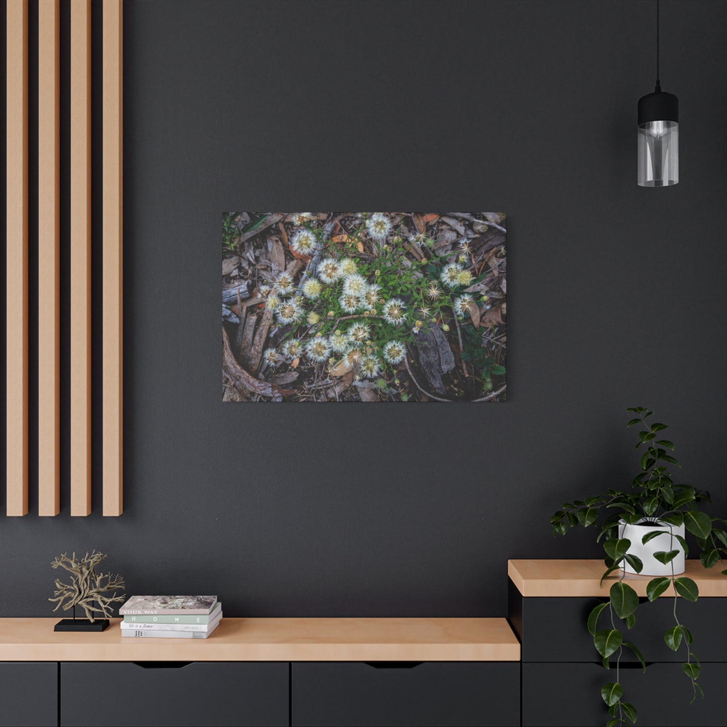 Matte Canvas, Stretched, 1.25" - Australian Wildflowers