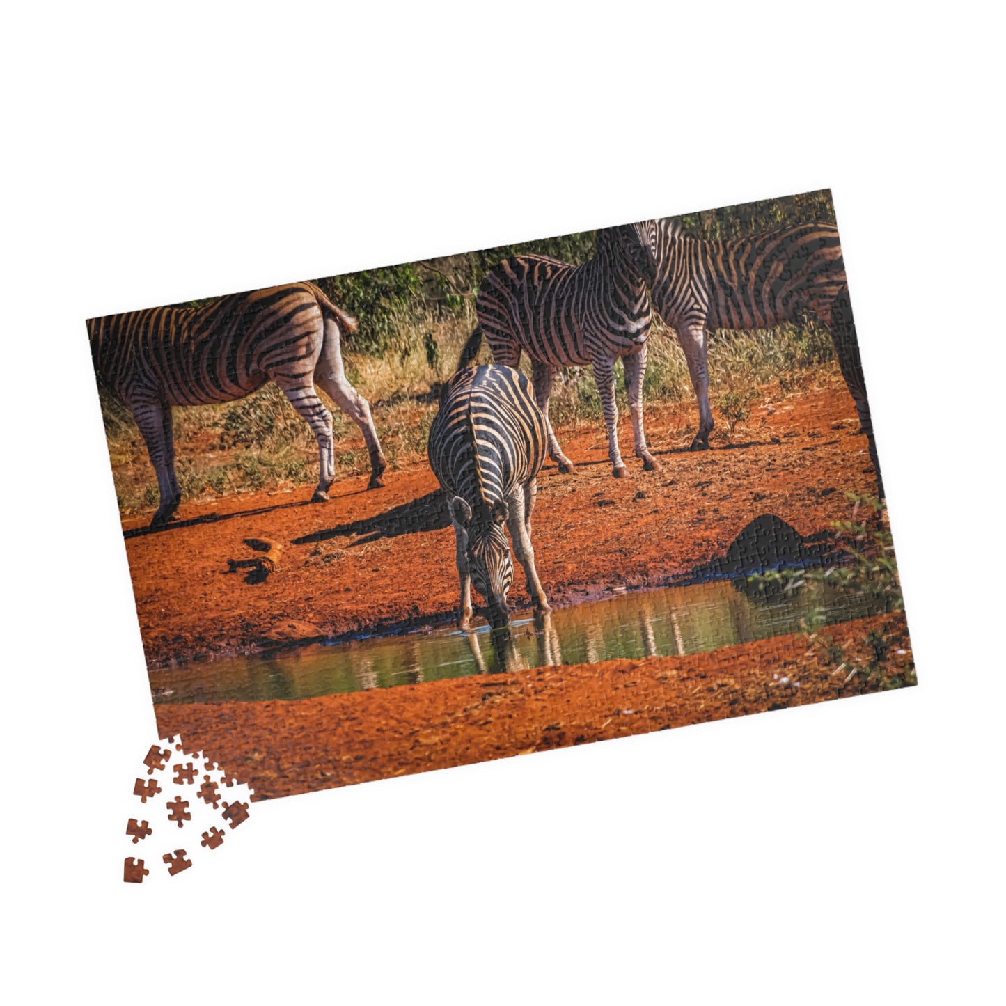 African Zebra Jigsaw Puzzle 1014 pcs (Horizontal)