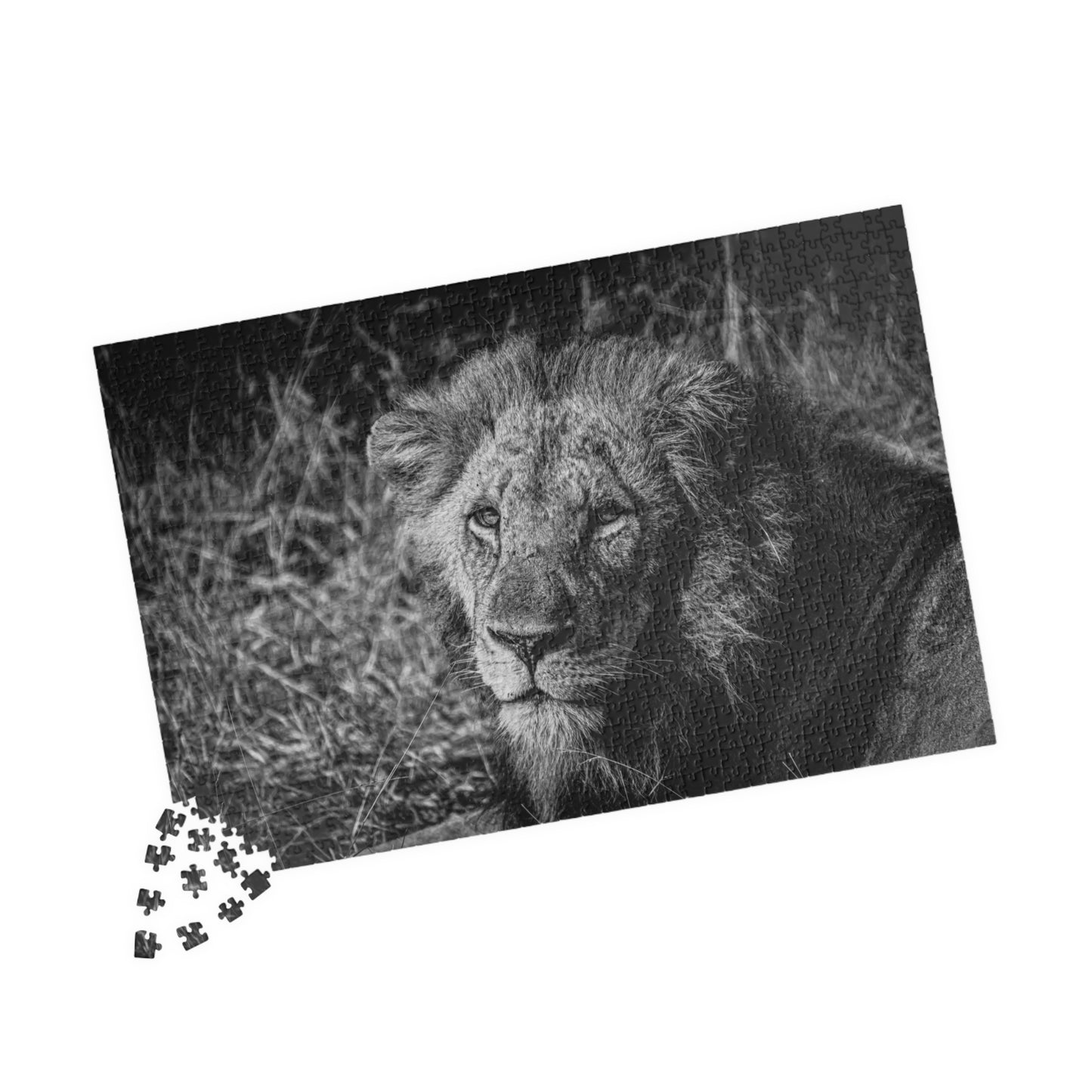 Majestic Old Lion Jigsaw Puzzle B&W