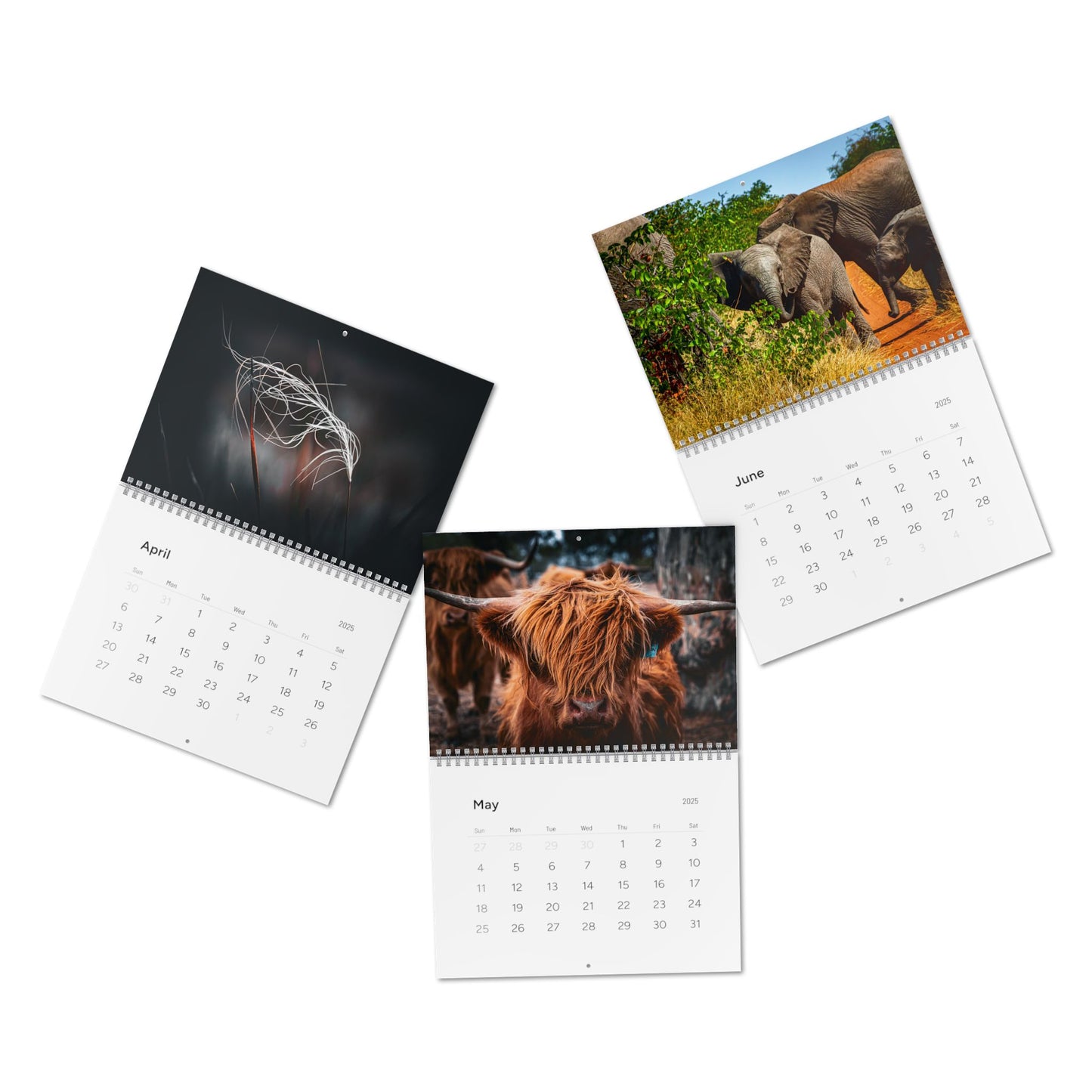 2025 Nature Wildlife Wall Calendar