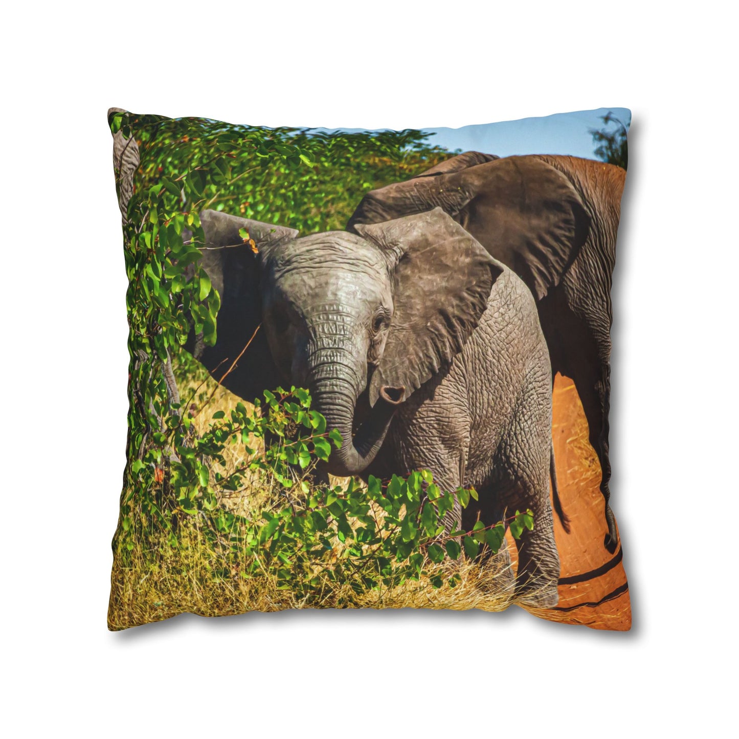 Poly Canvas Pillowcase - Young Elephant