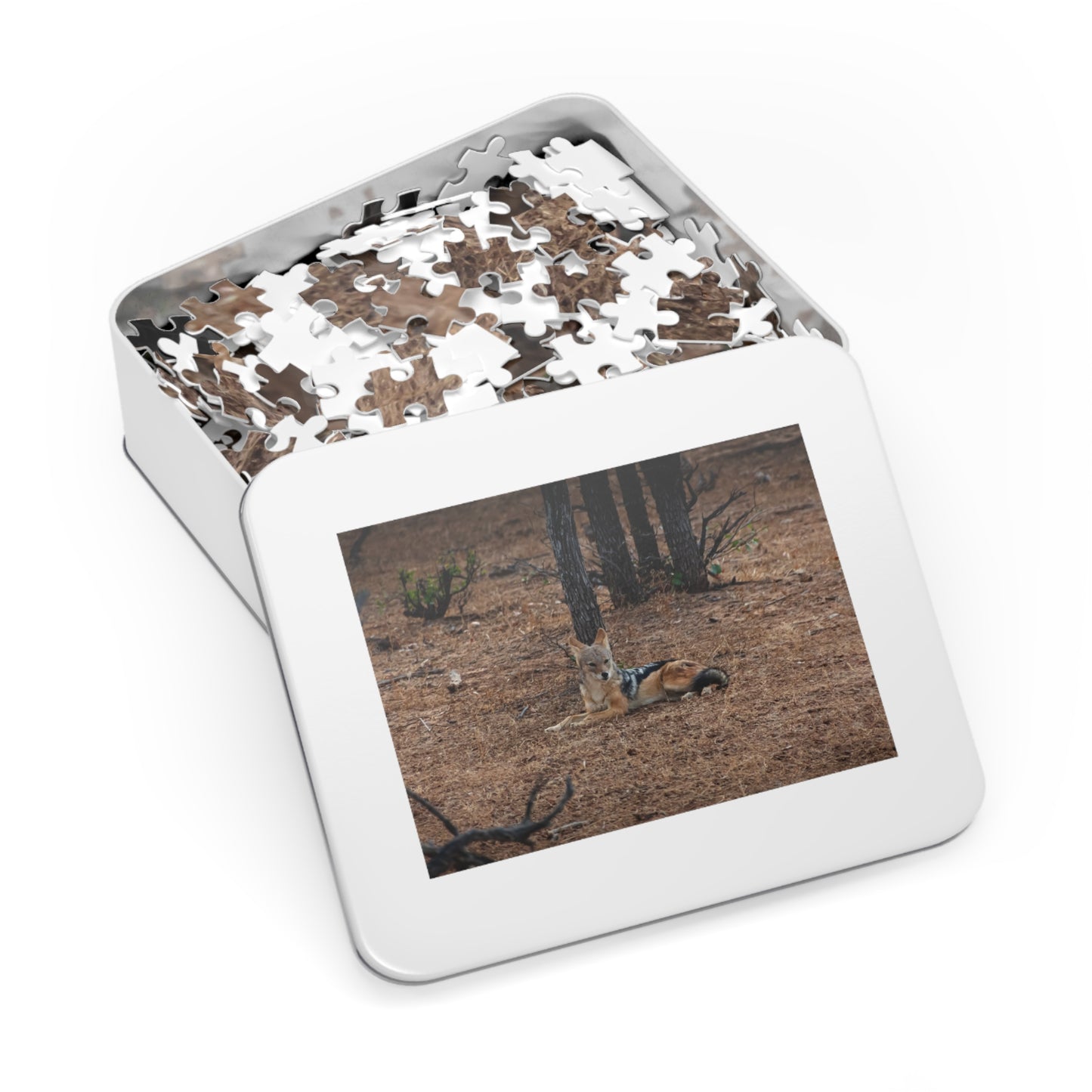 Jackal Photo Jigsaw Puzzle with Tin